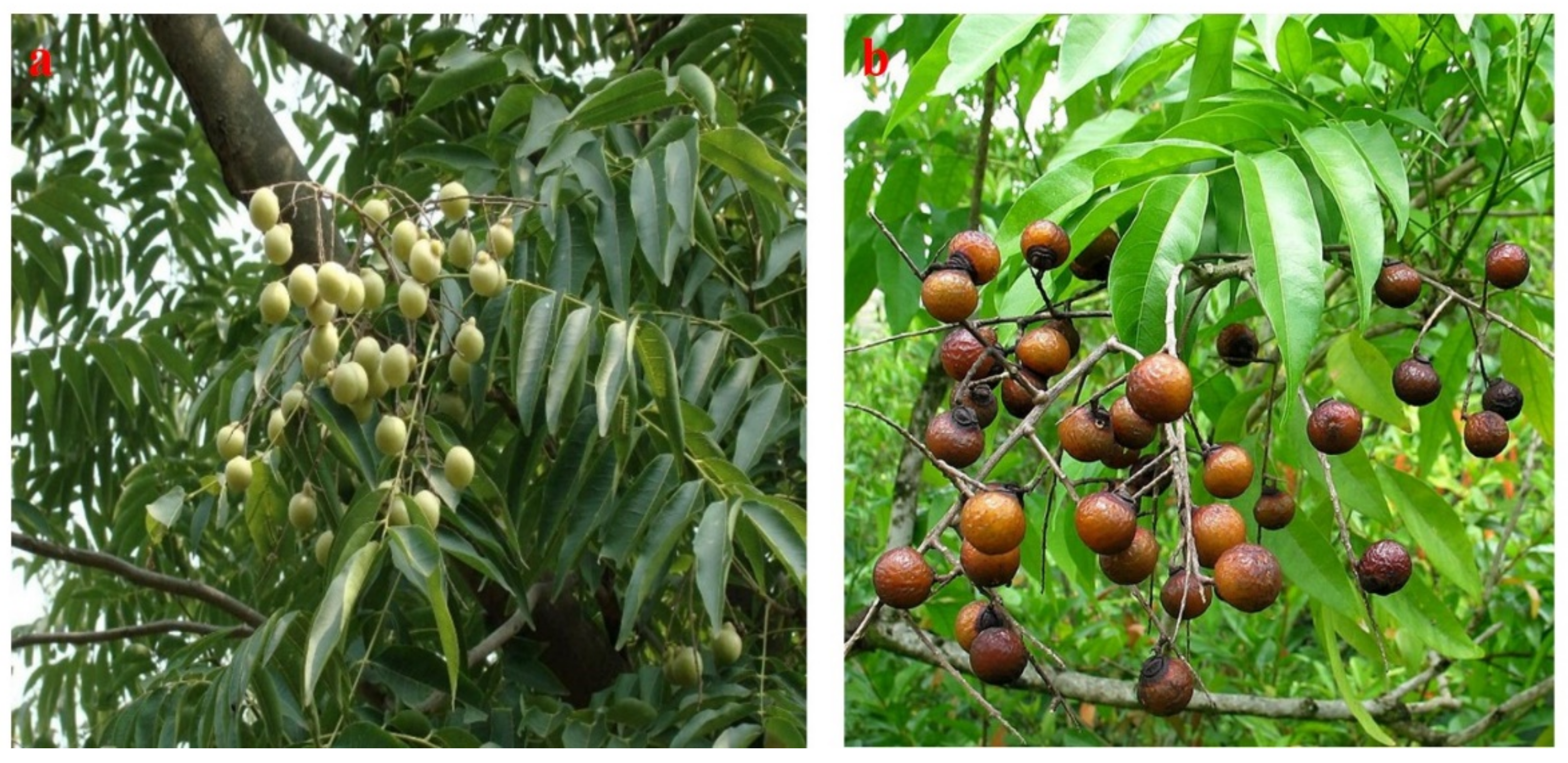 Processes 09 00840 g001 Processes 09 00840 g001