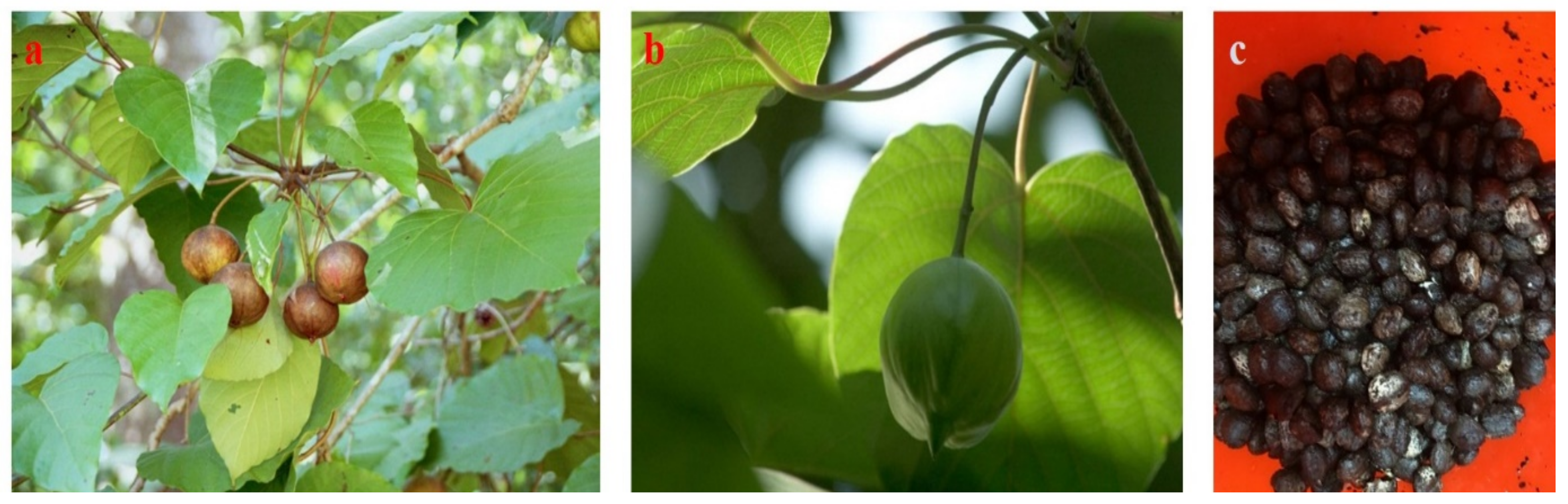 Processes 09 00840 g002 Processes 09 00840 g002