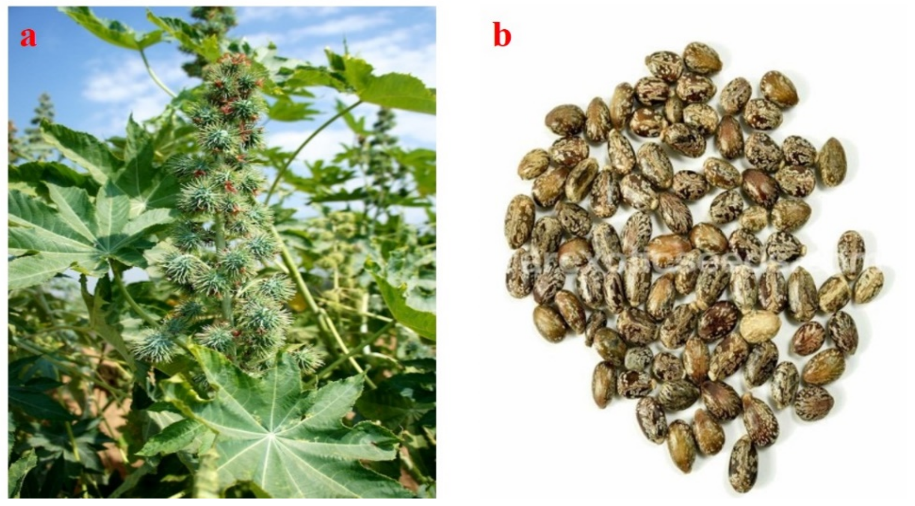 Processes 09 00840 g003 Processes 09 00840 g003