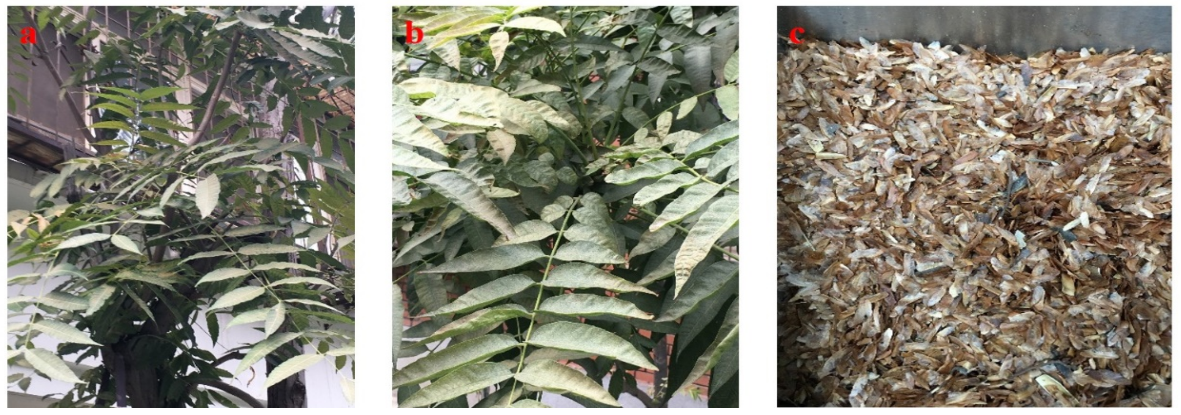 Processes 09 00840 g004 Processes 09 00840 g004