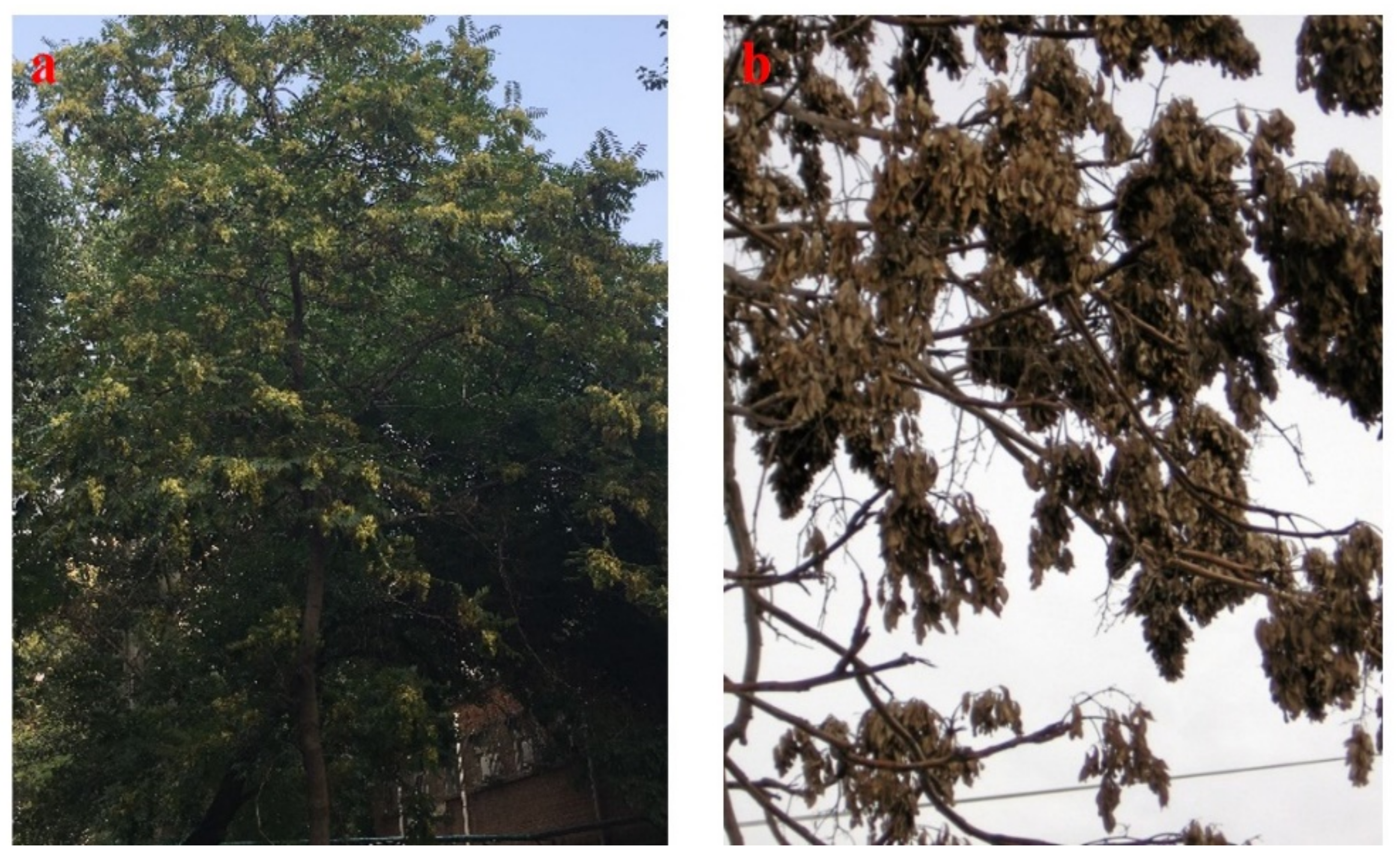 Processes 09 00840 g005 Processes 09 00840 g005