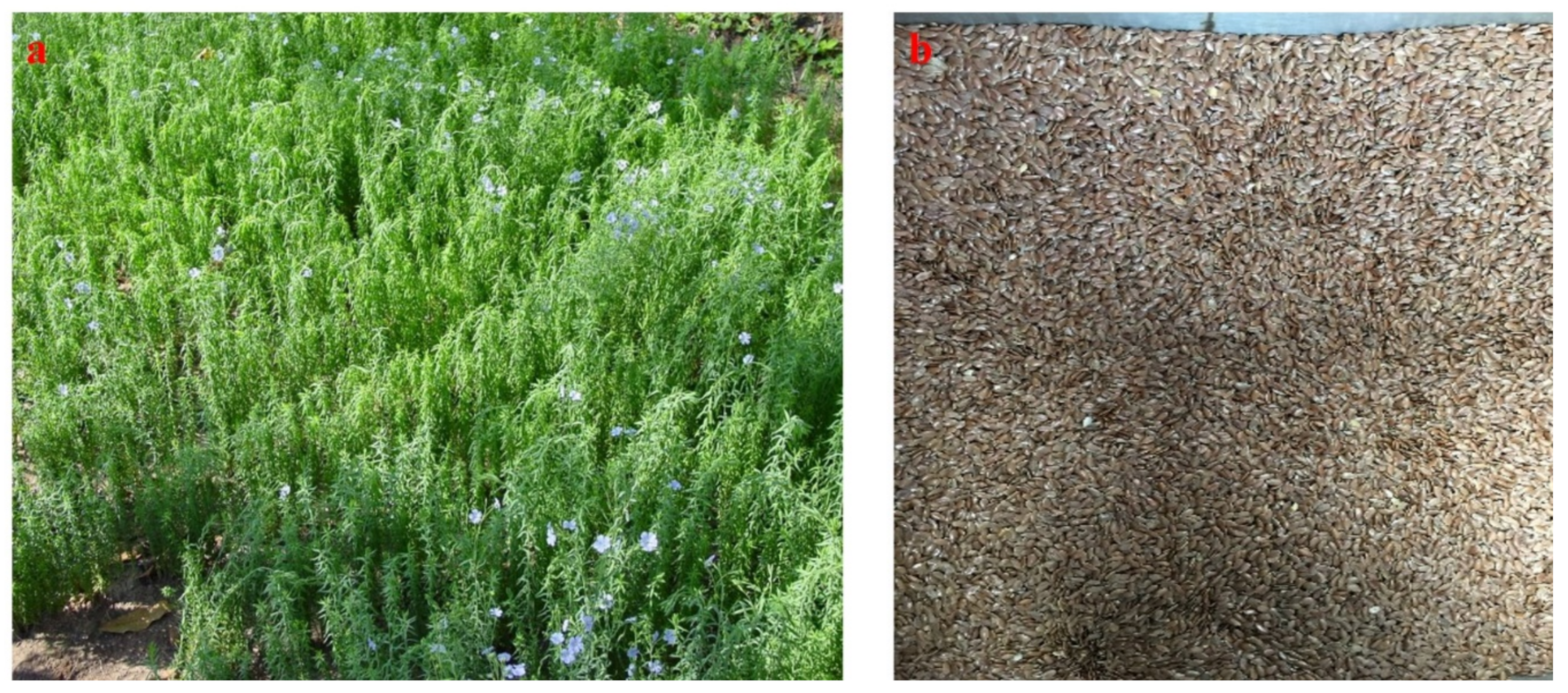 Processes 09 00840 g006 Processes 09 00840 g006