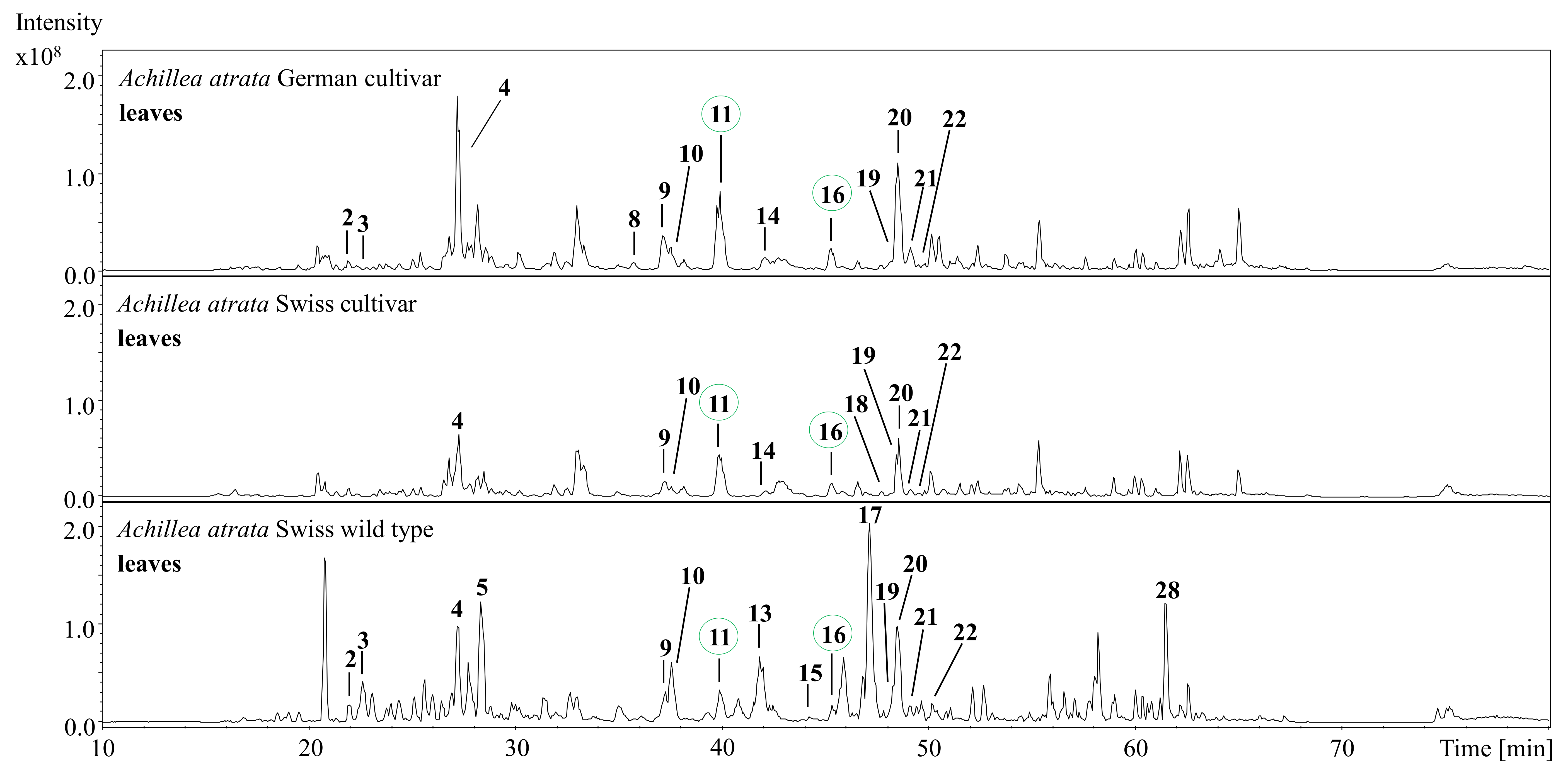 Processes 09 00853 g003 Processes 09 00853 g003