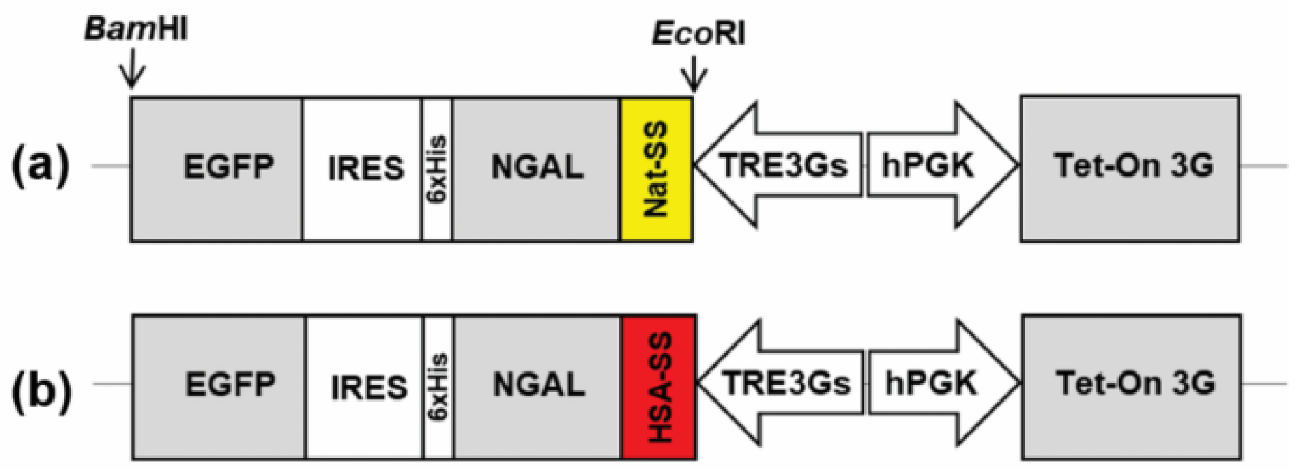 Processes 09 00855 g001 Processes 09 00855 g001