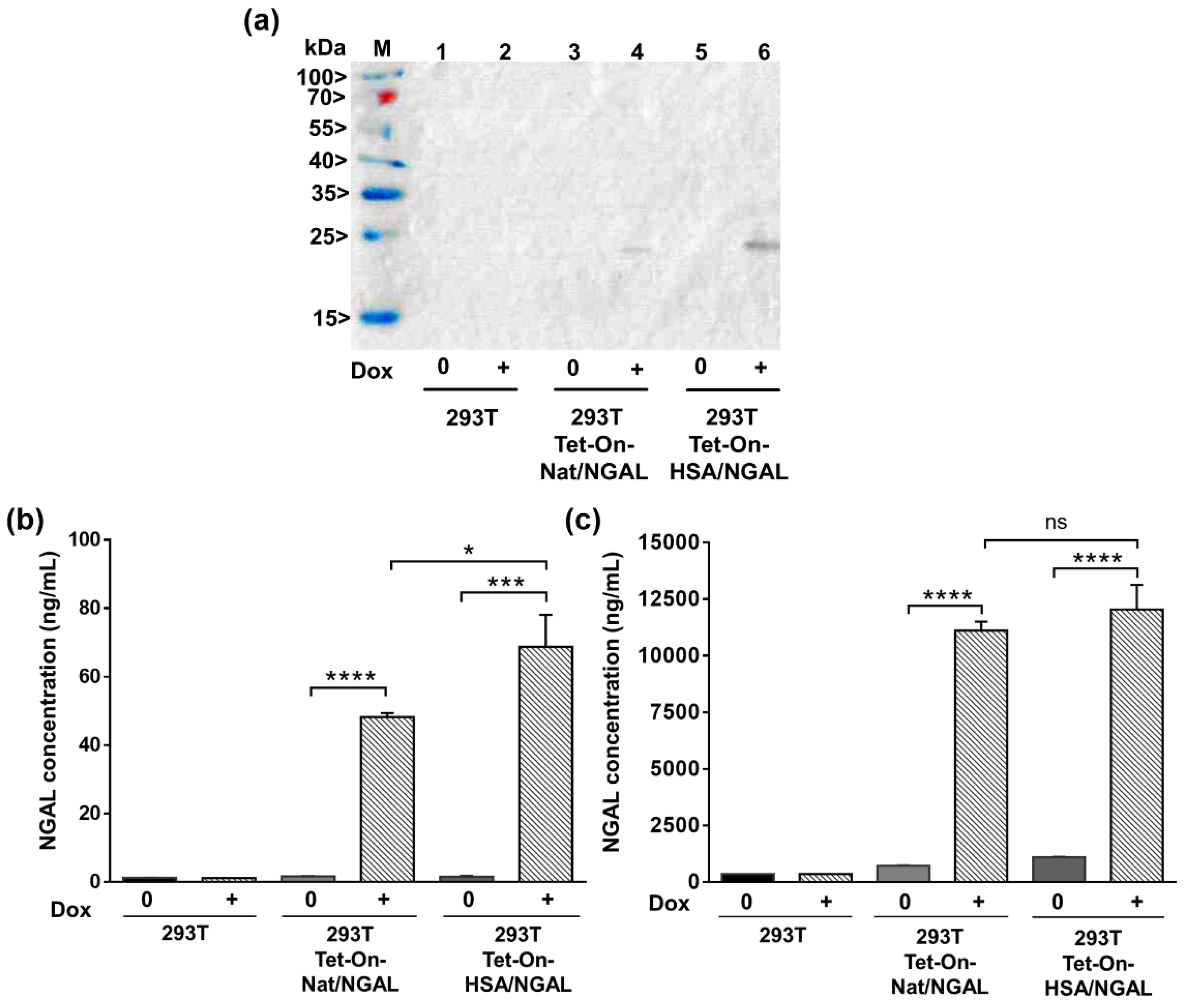 Processes 09 00855 g004 Processes 09 00855 g004