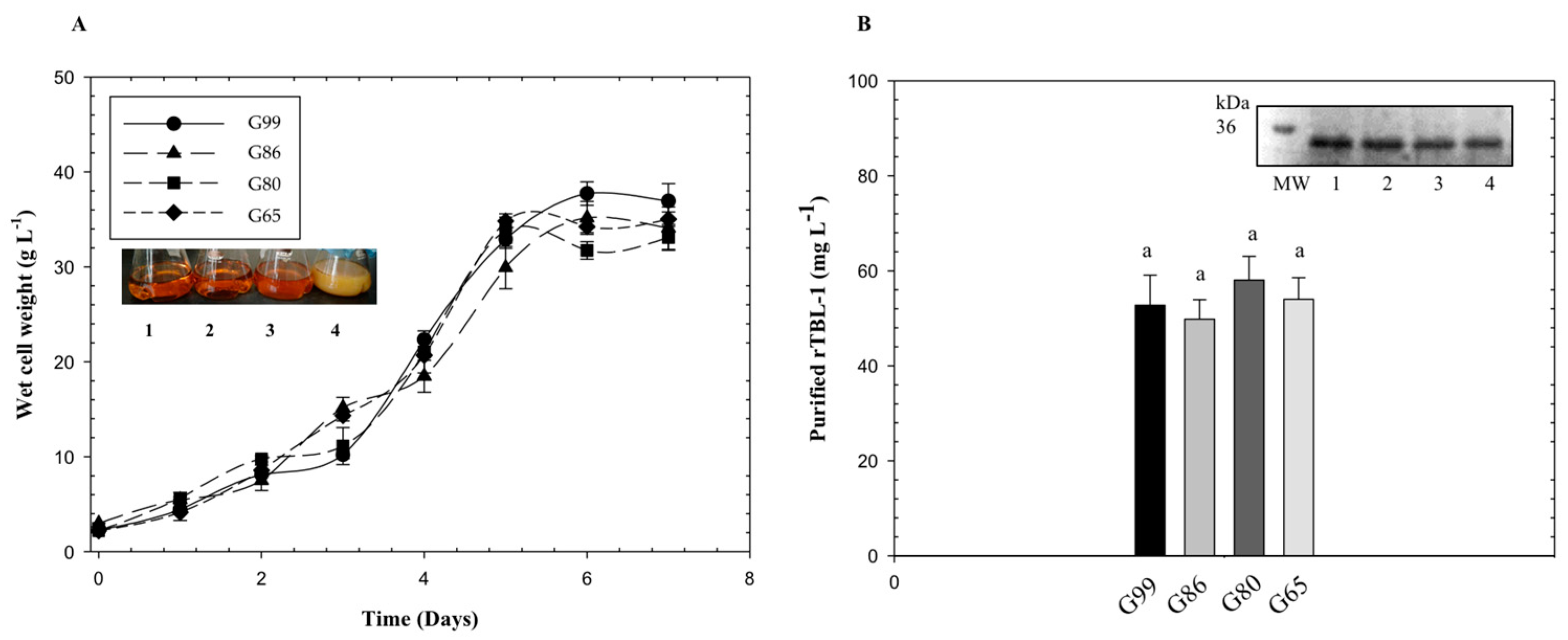 Processes 09 00876 g002 Processes 09 00876 g002