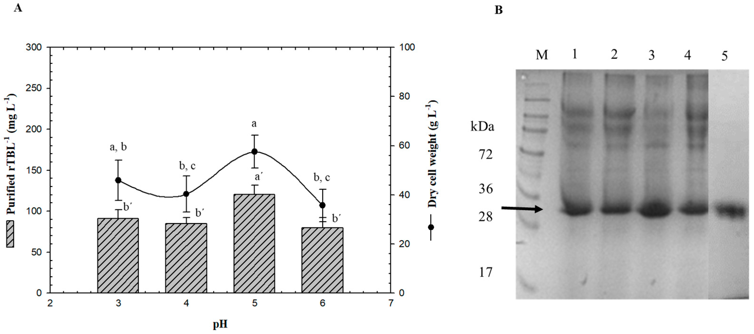 Processes 09 00876 g003 Processes 09 00876 g003