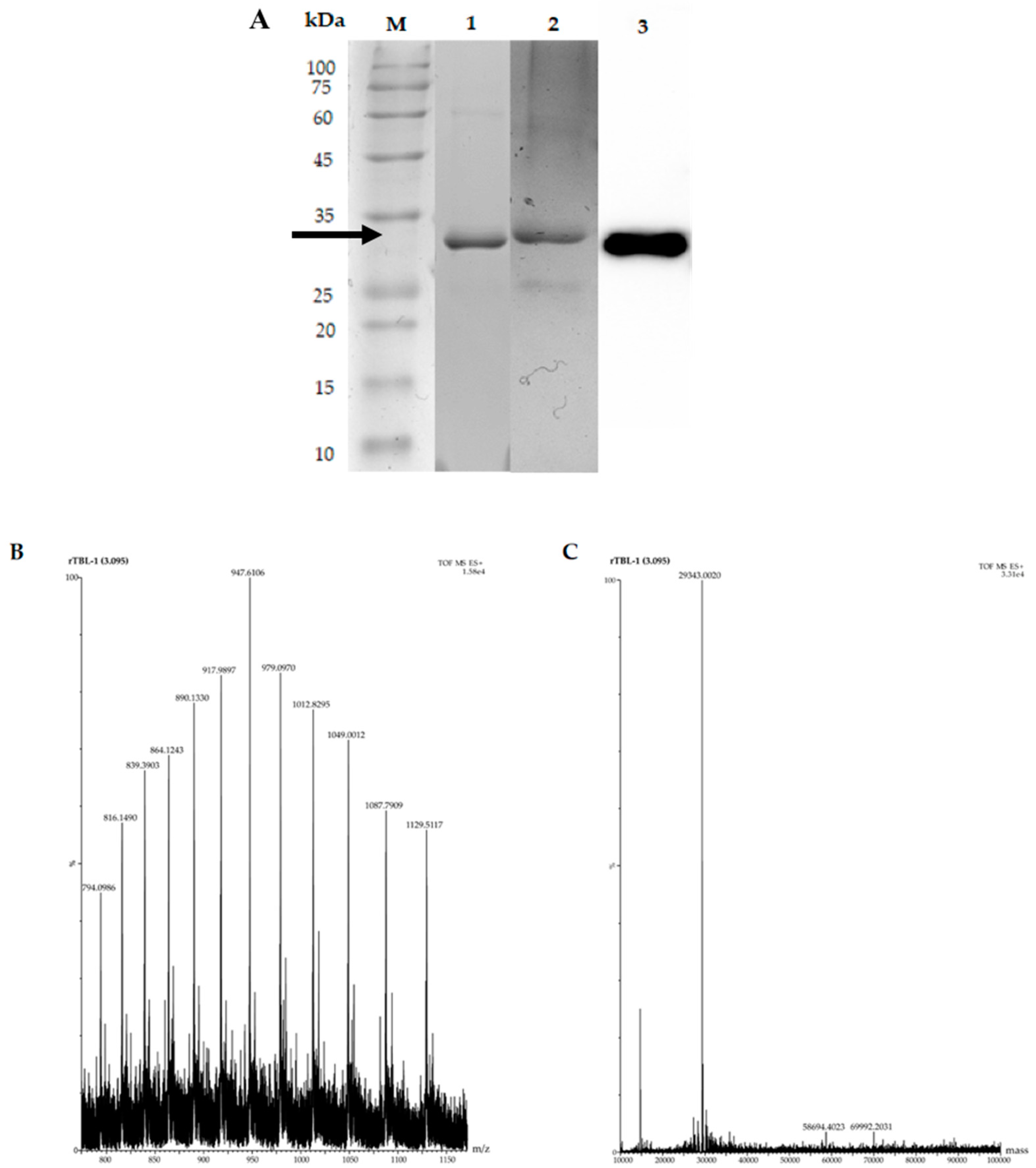 Processes 09 00876 g005 Processes 09 00876 g005