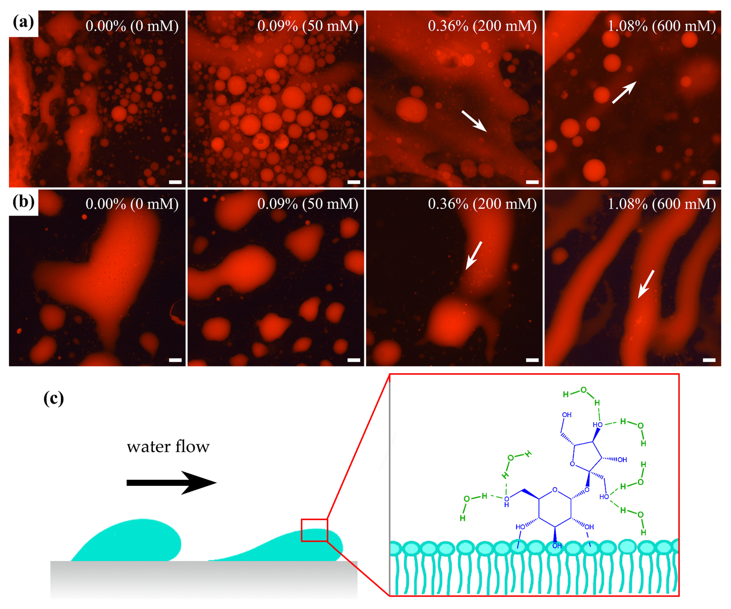 Processes 09 00945 g003 Processes 09 00945 g003