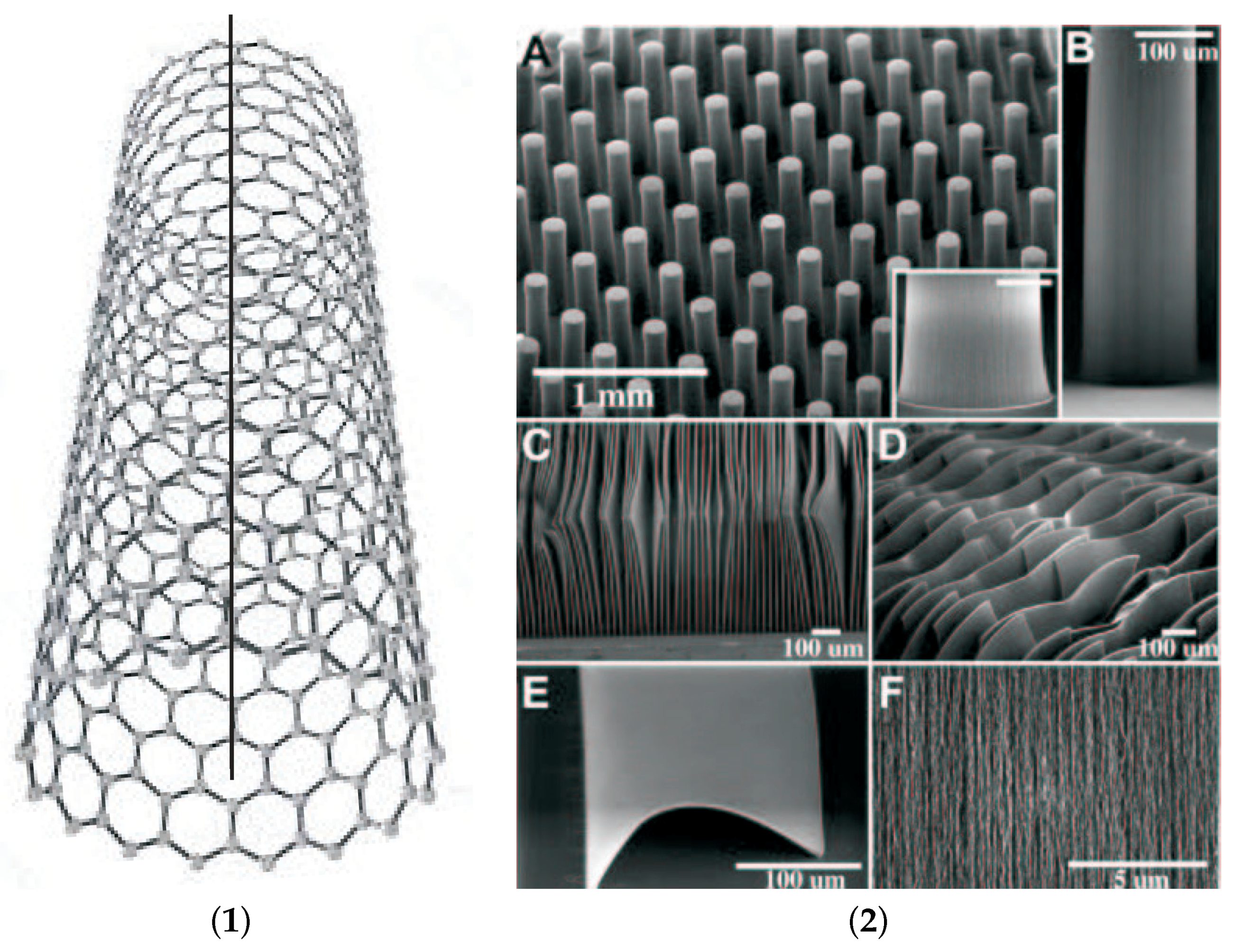 Processes 09 00980 g008 Processes 09 00980 g008