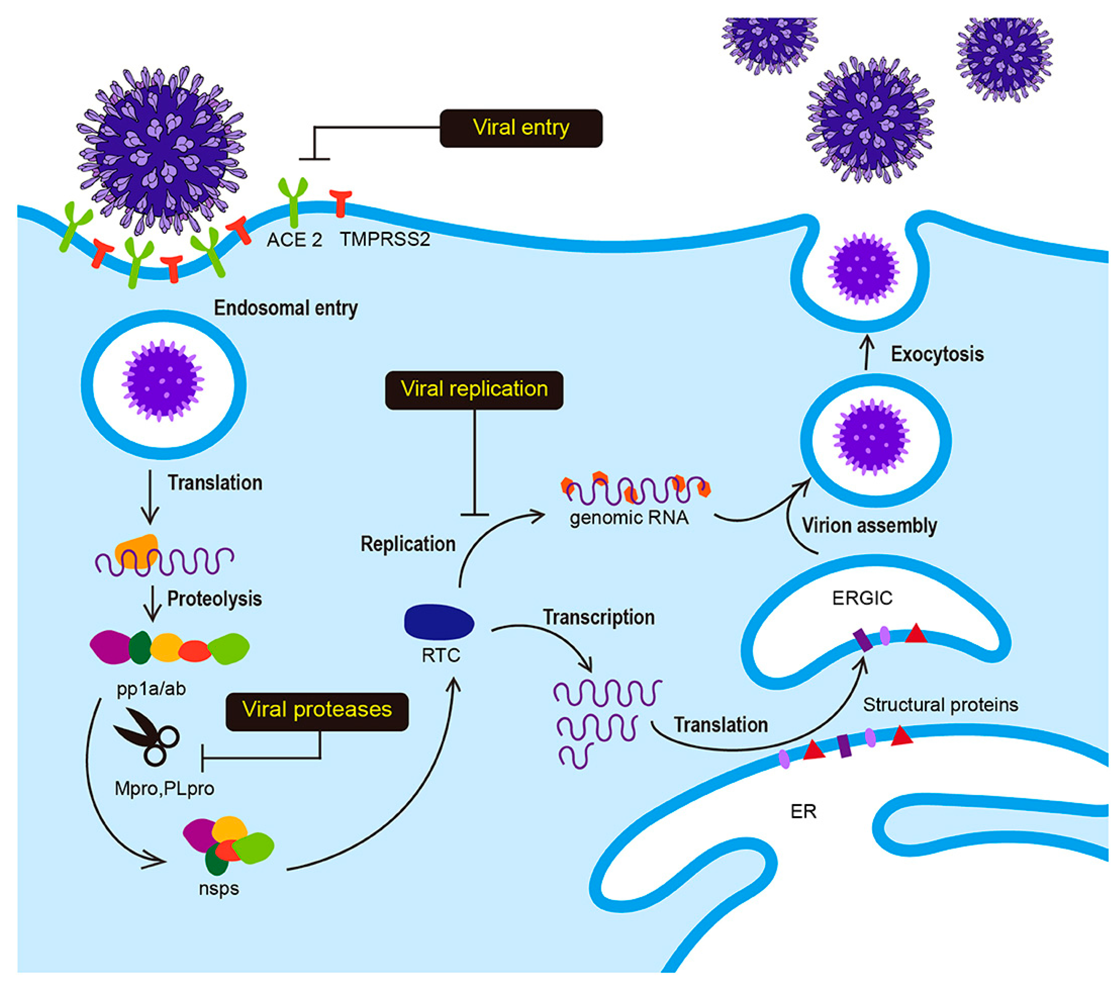 Processes 09 01004 g001 Processes 09 01004 g001