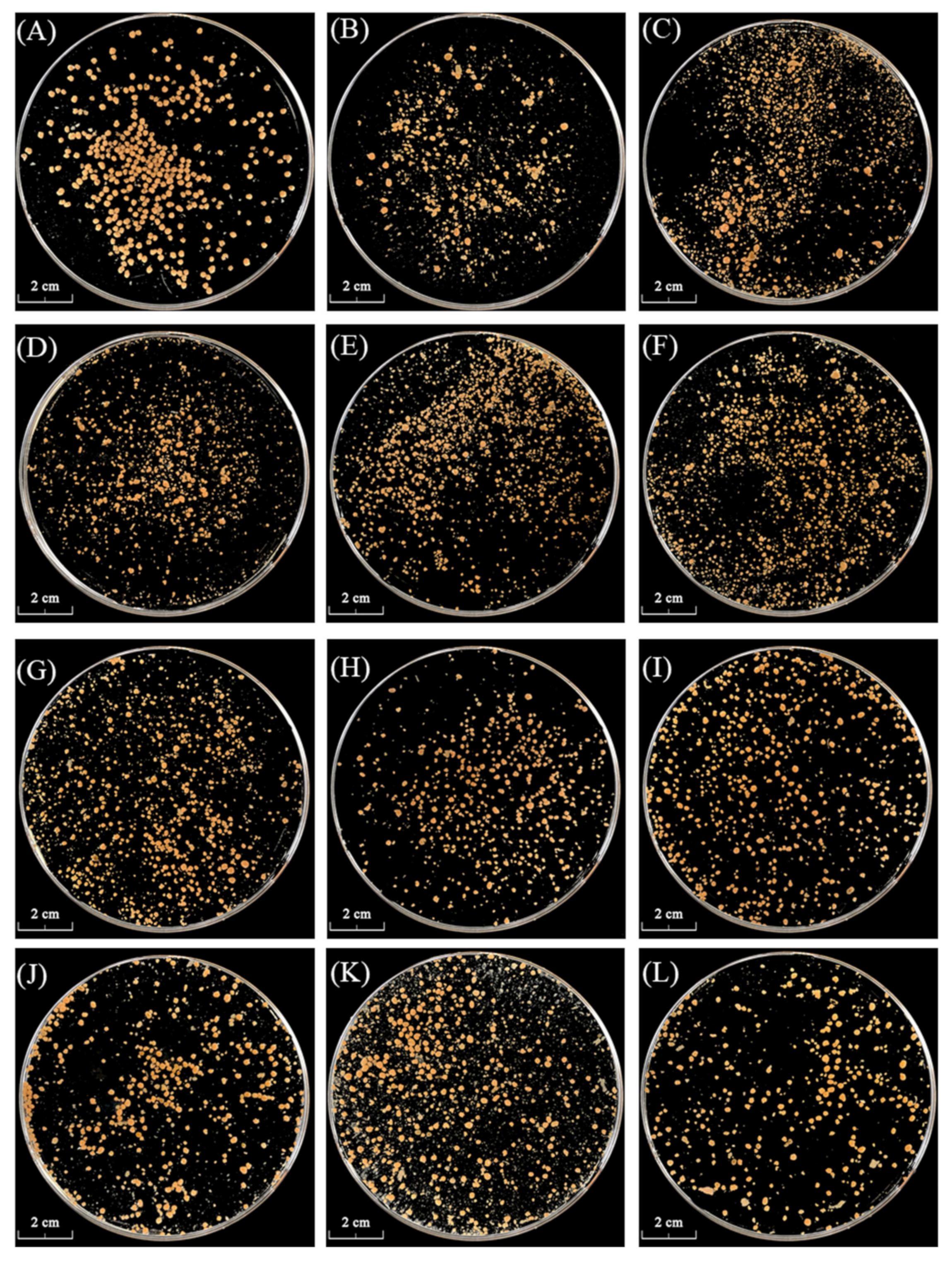 Processes 09 01024 g002 Processes 09 01024 g002
