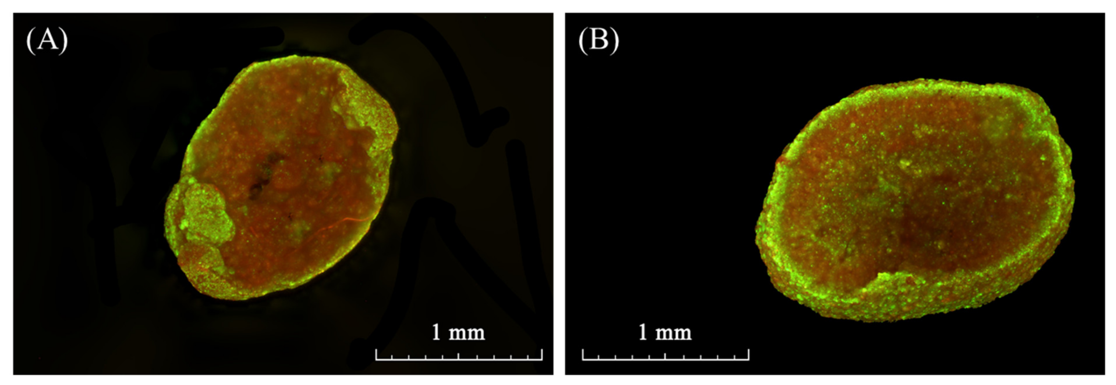 Processes 09 01024 g006 Processes 09 01024 g006