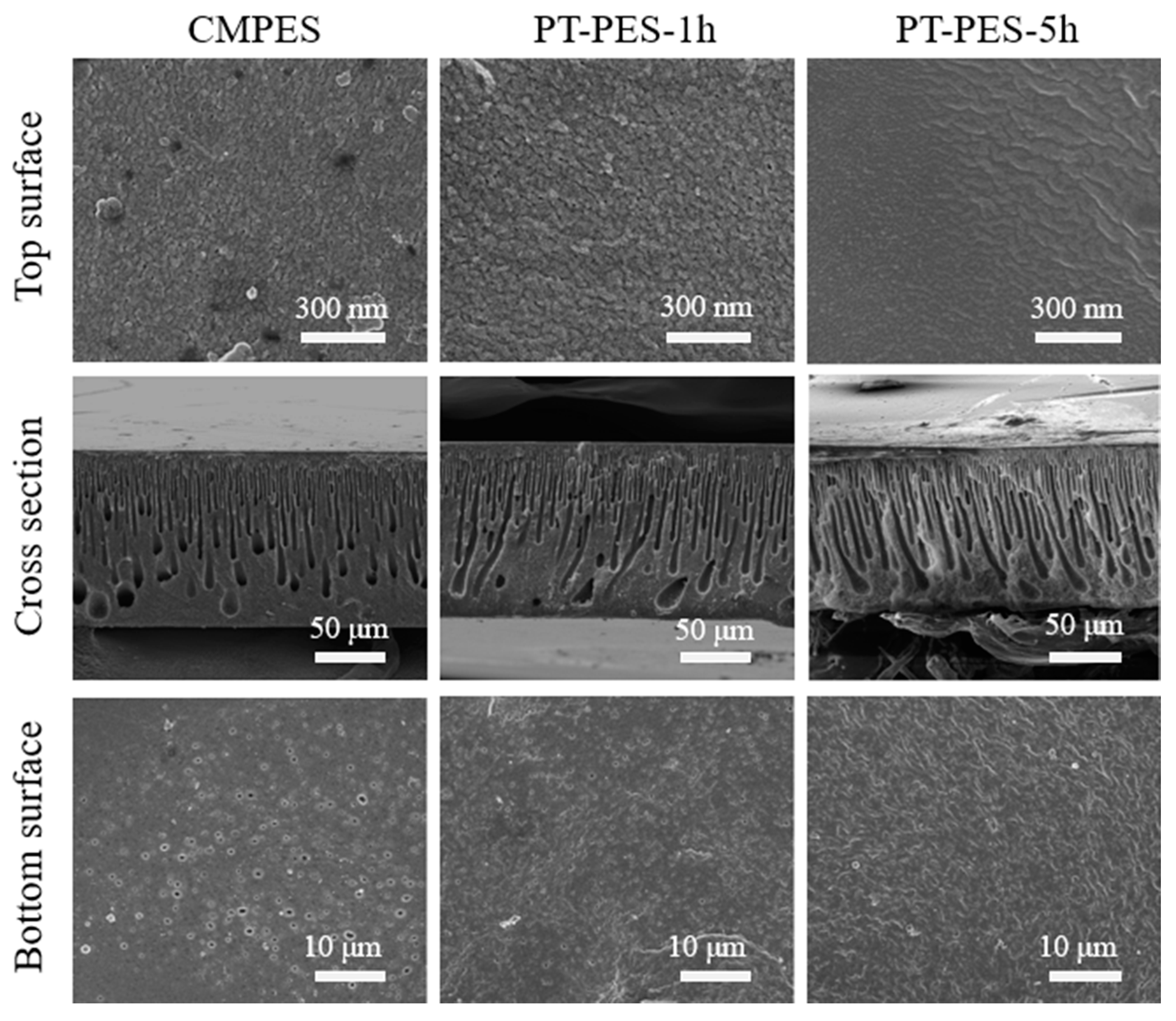 Processes 09 01049 g004 Processes 09 01049 g004