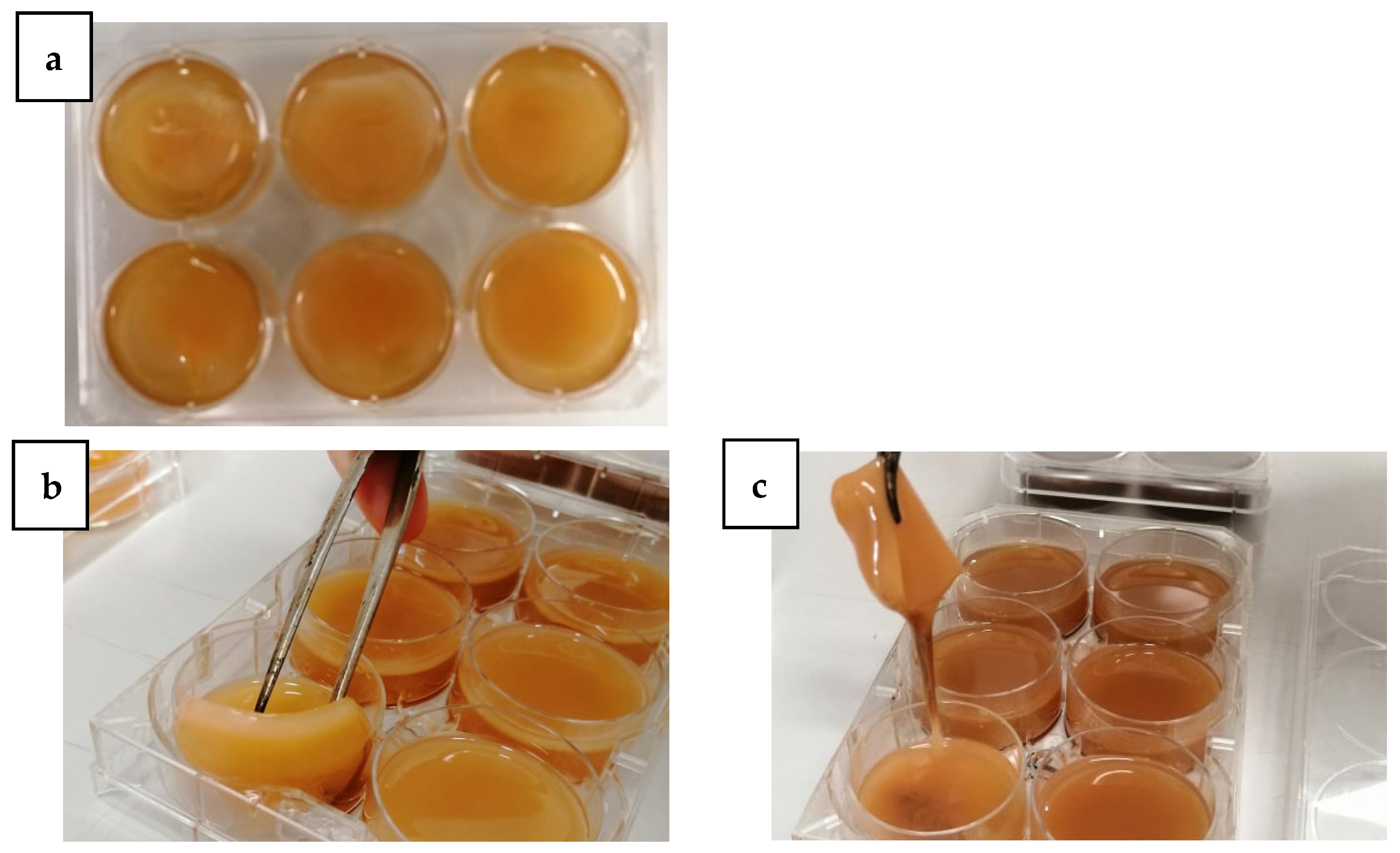 Processes 09 01088 g002a