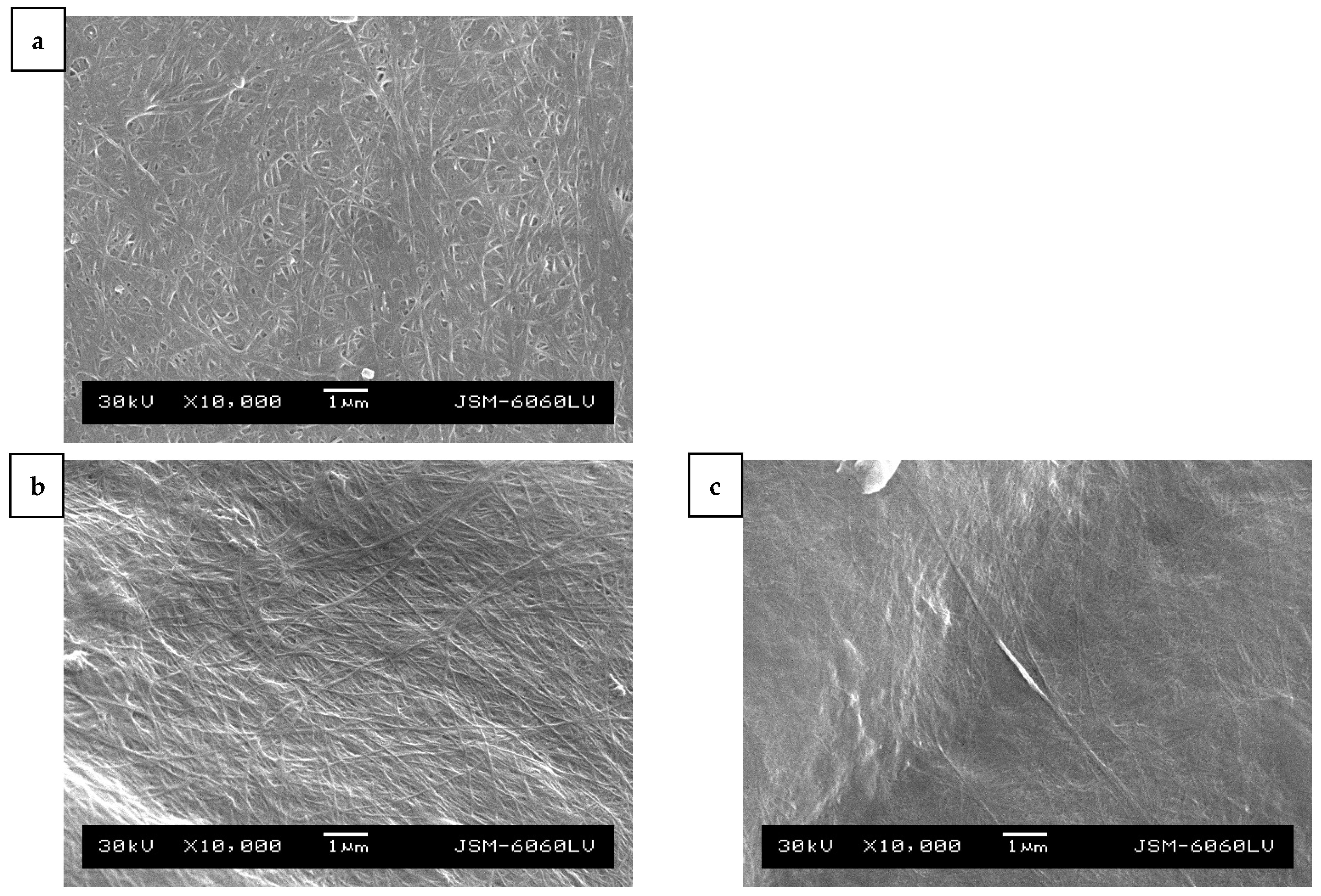 Processes 09 01088 g005a