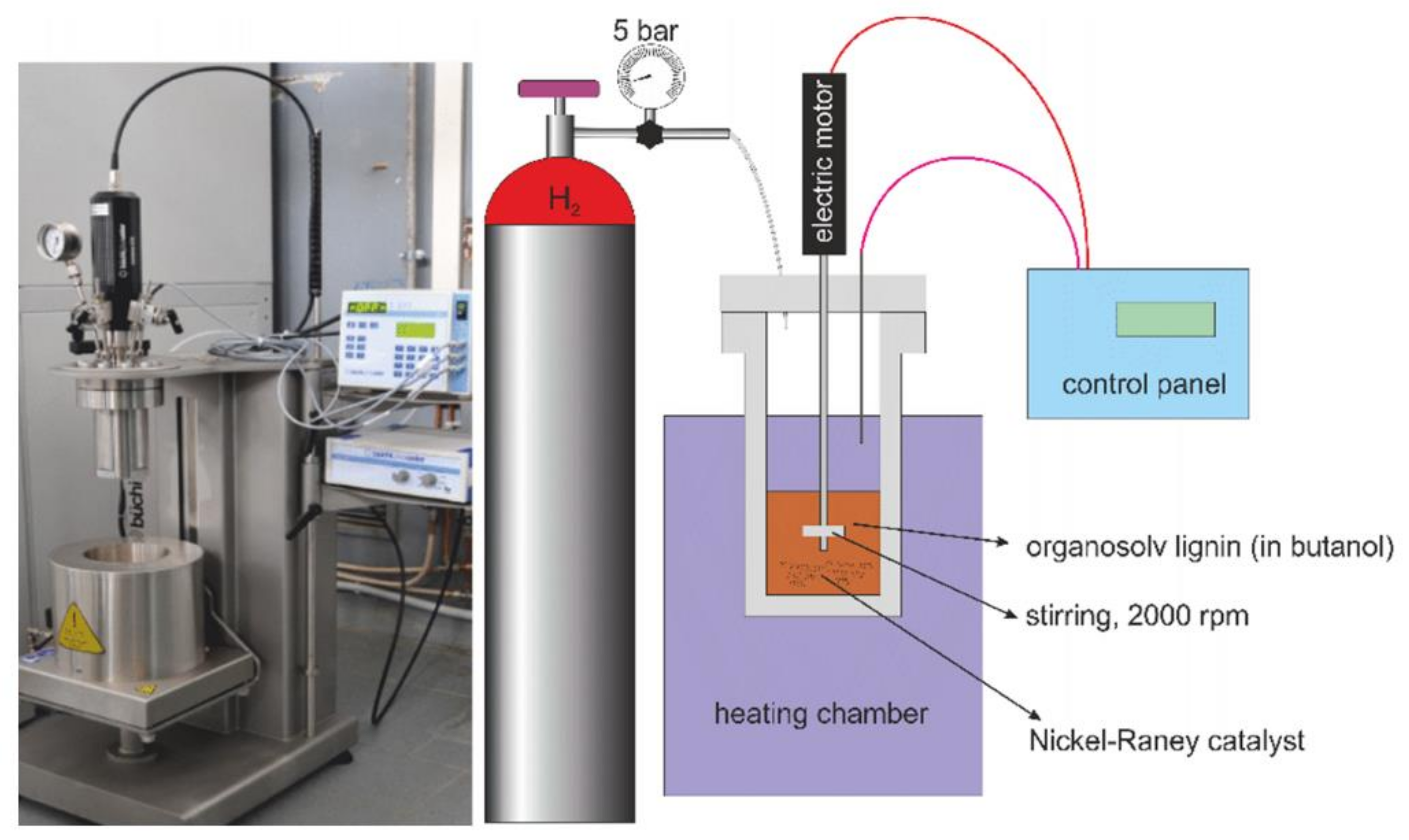 Processes | Free Full-Text | Depolymerization and Hydrogenation of ...