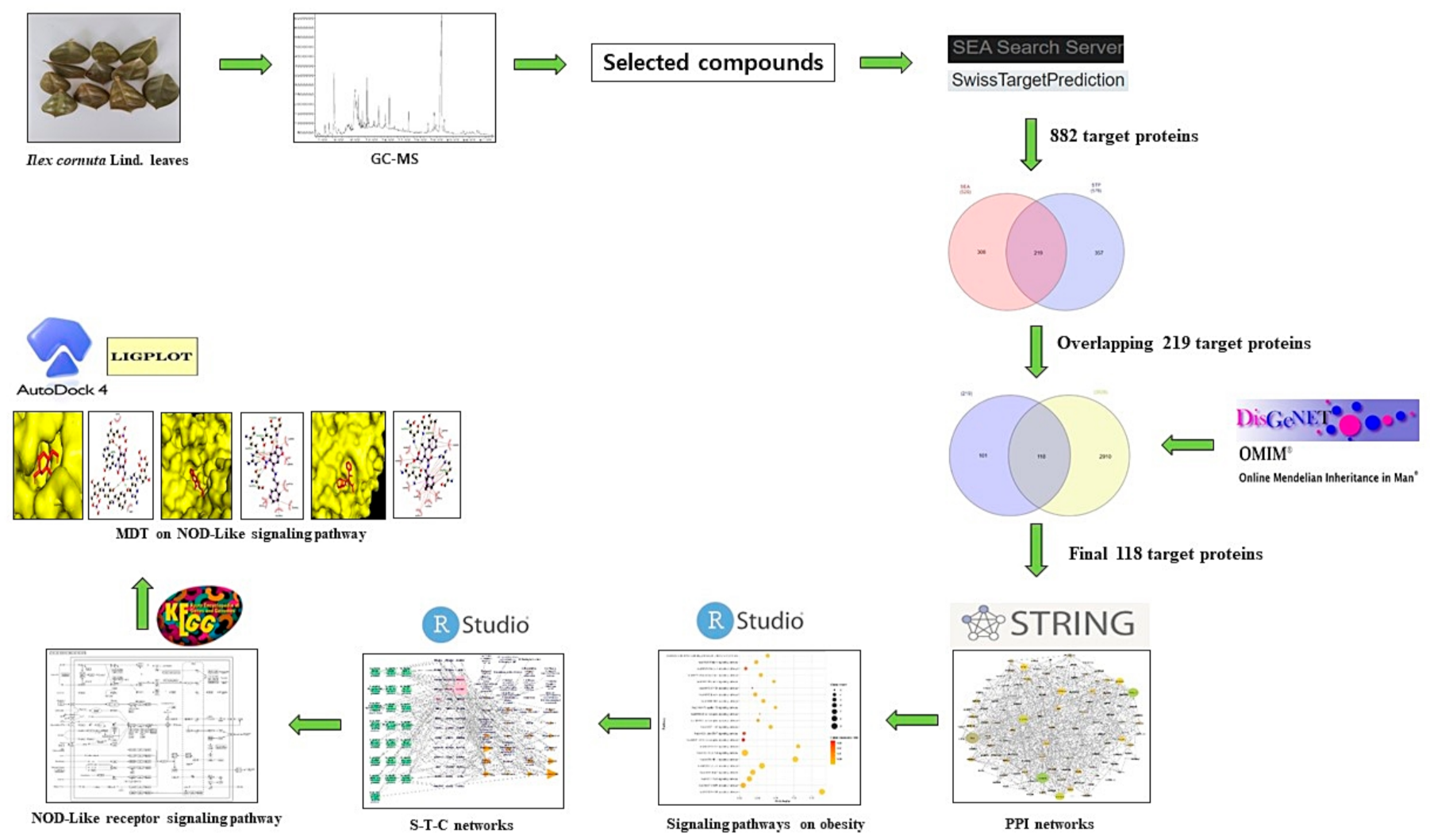 Identification of levoglucosan degradation pathways in bacteria and  sequence similarity network analysis