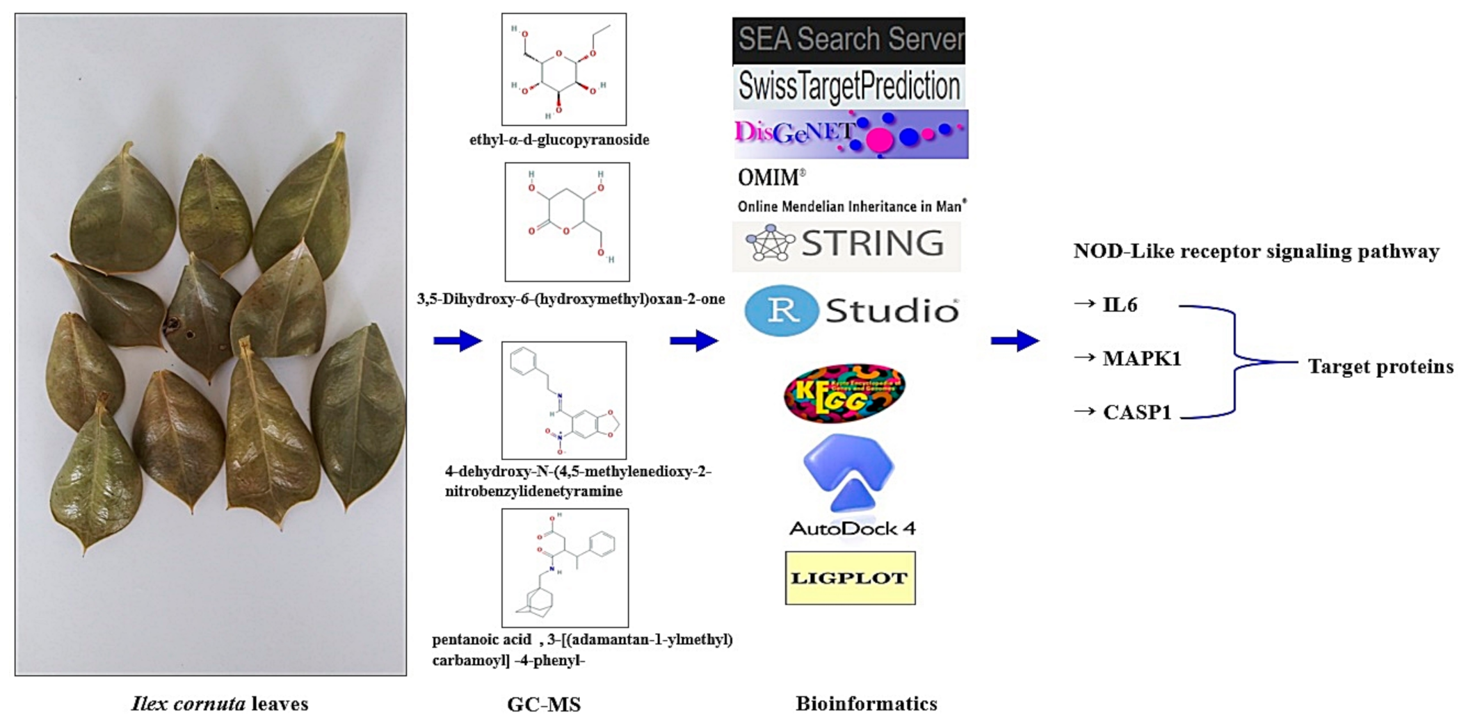 Processes 09 01106 g009