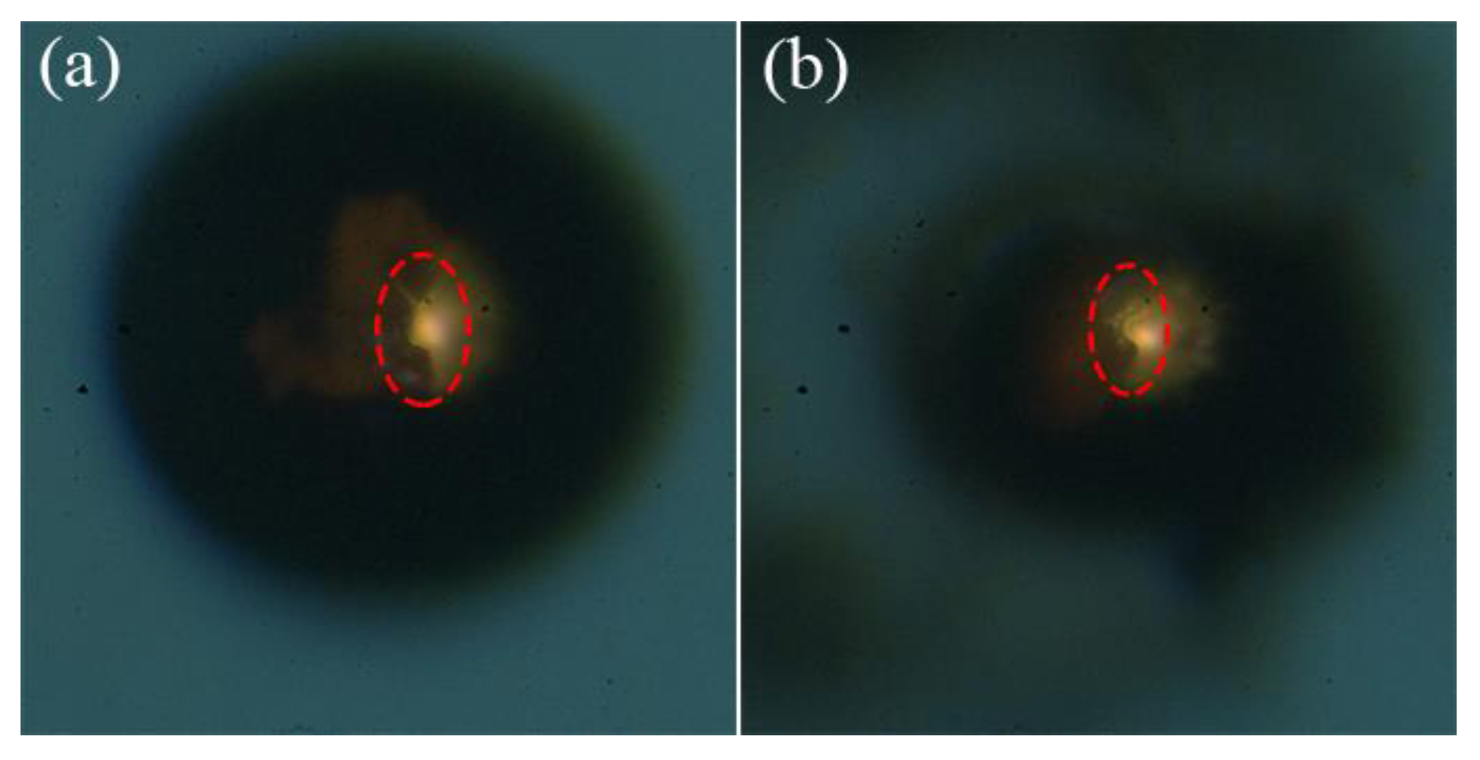 Processes 09 01276 g012