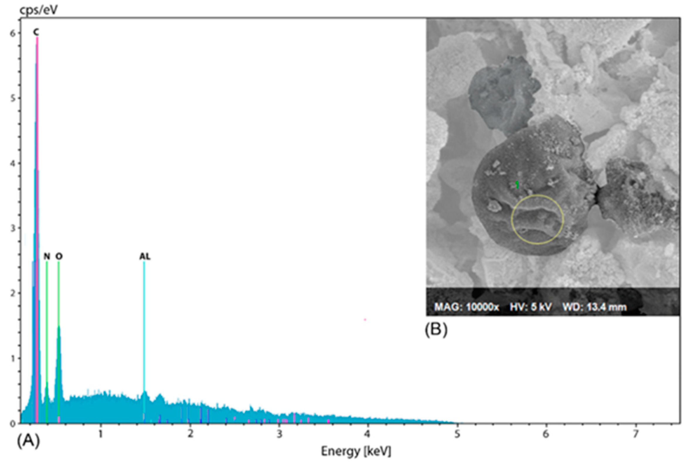 Processes 09 01296 g004