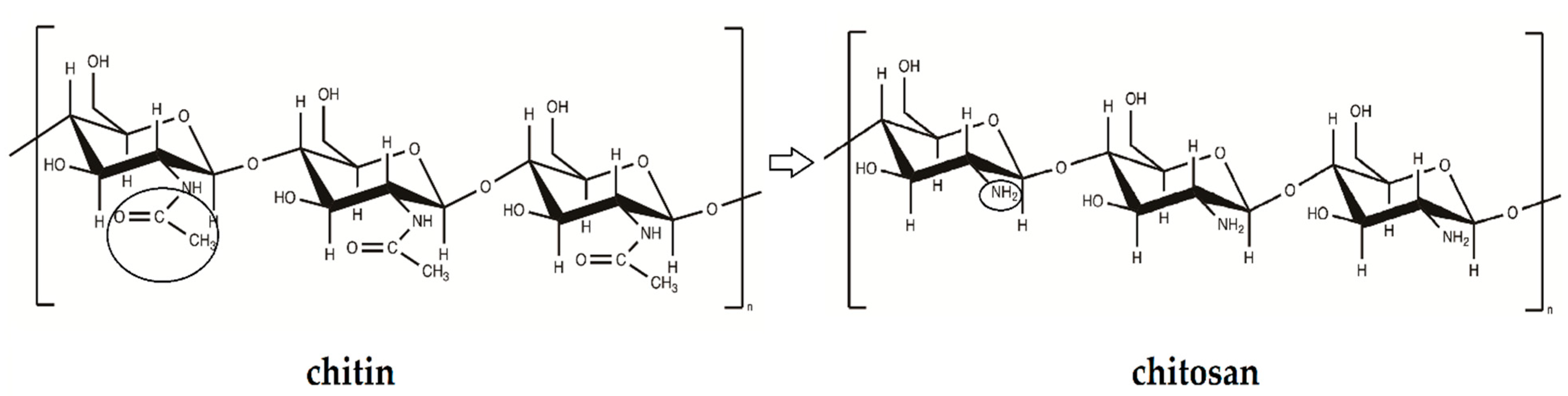 Processes 09 01394 g001