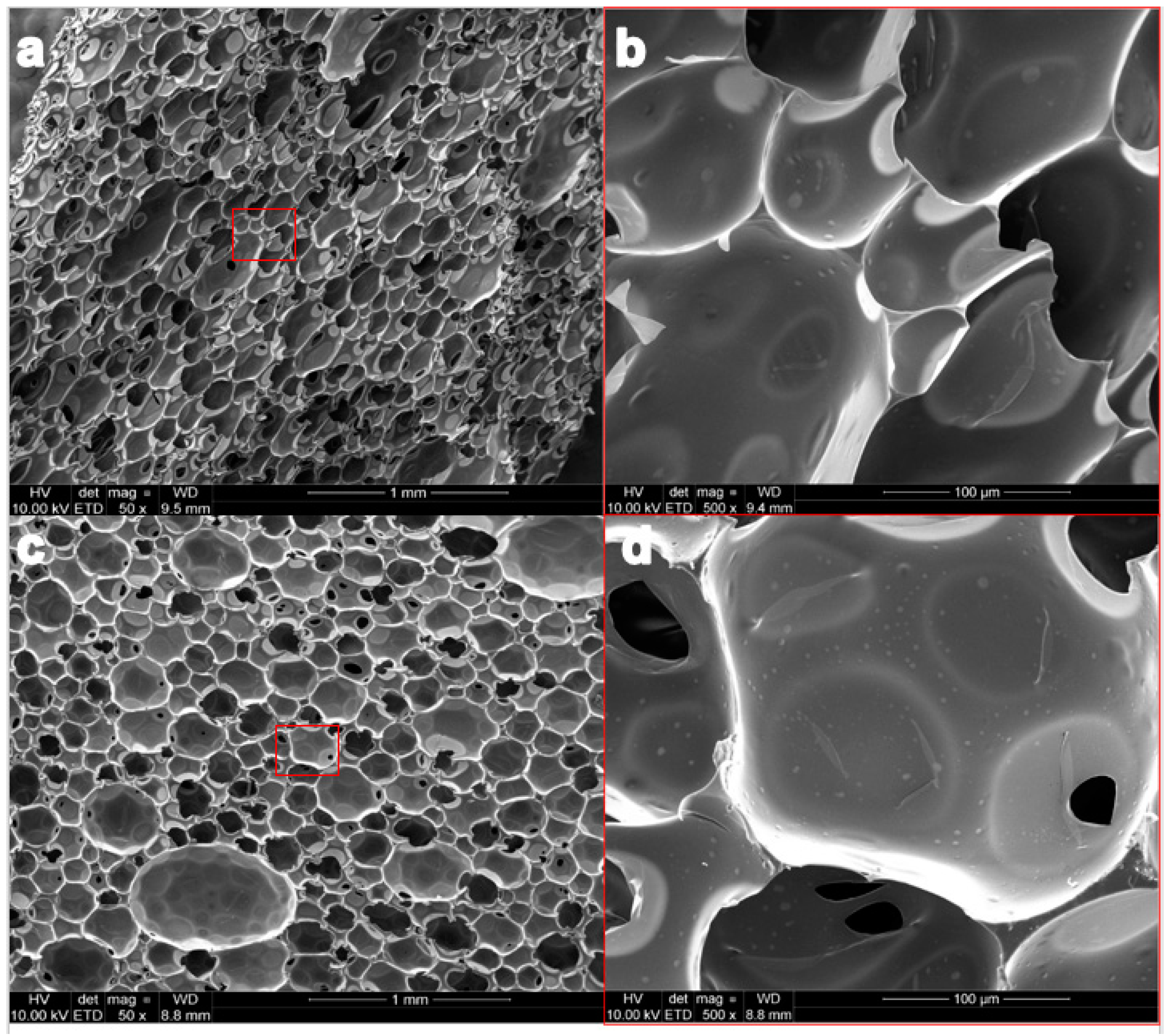 Processes 09 01394 g003