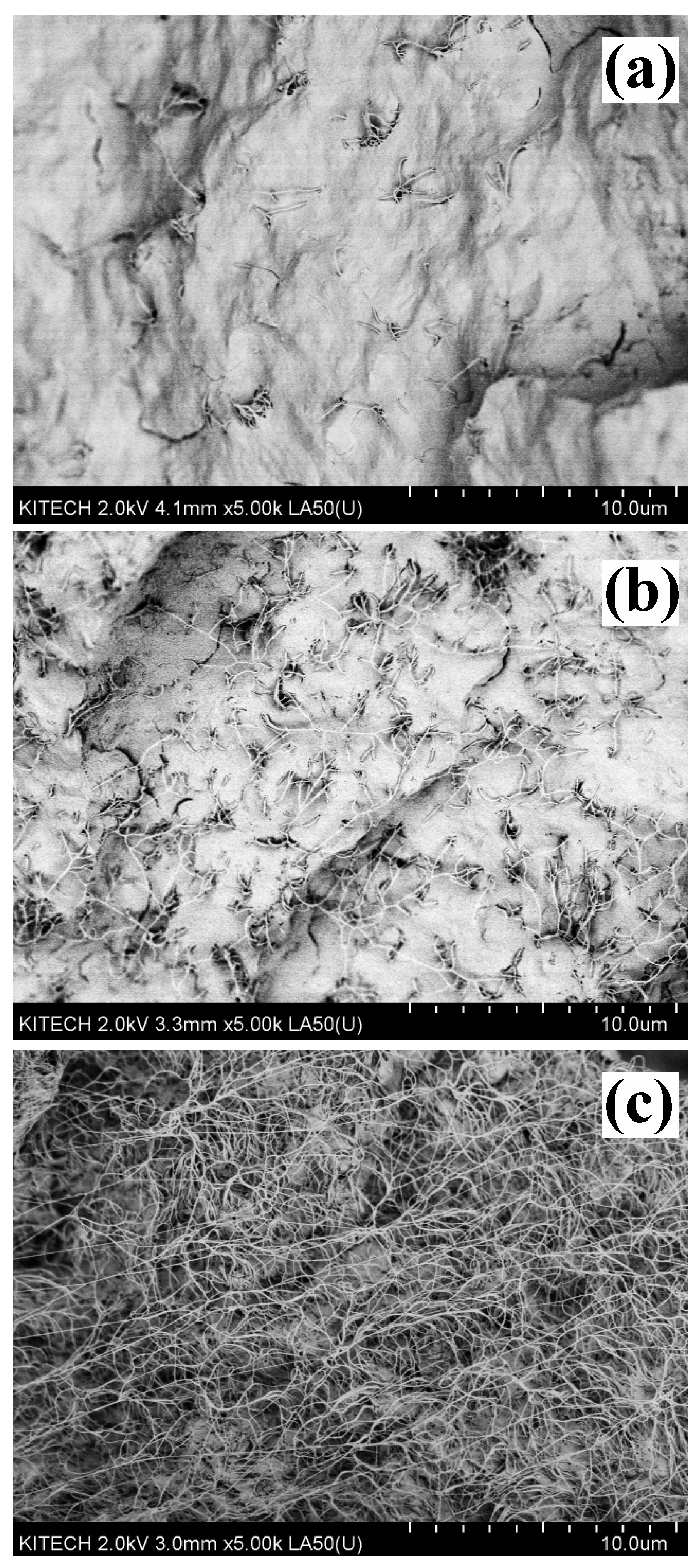 Processes 09 01395 g006