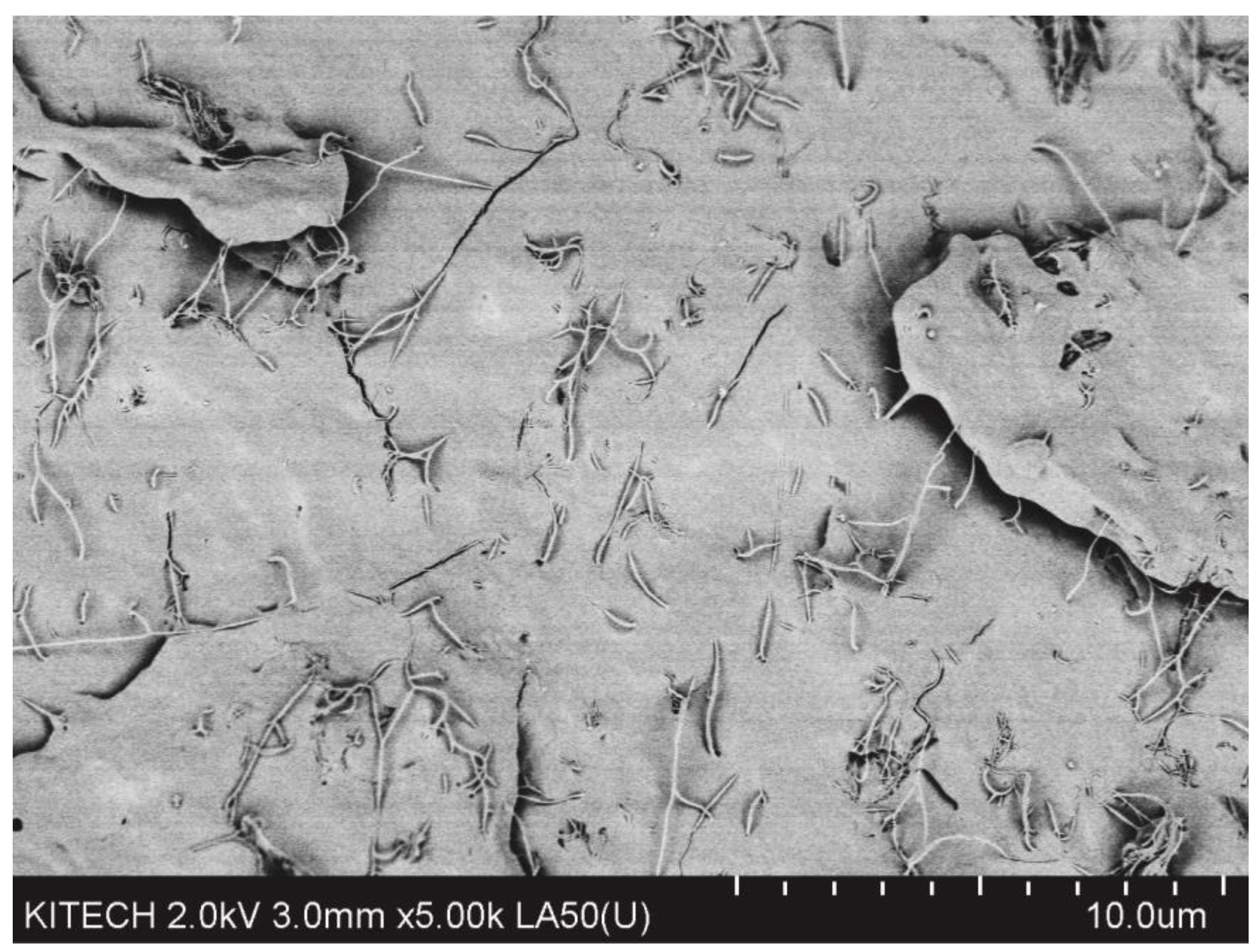 Processes 09 01395 g0a1