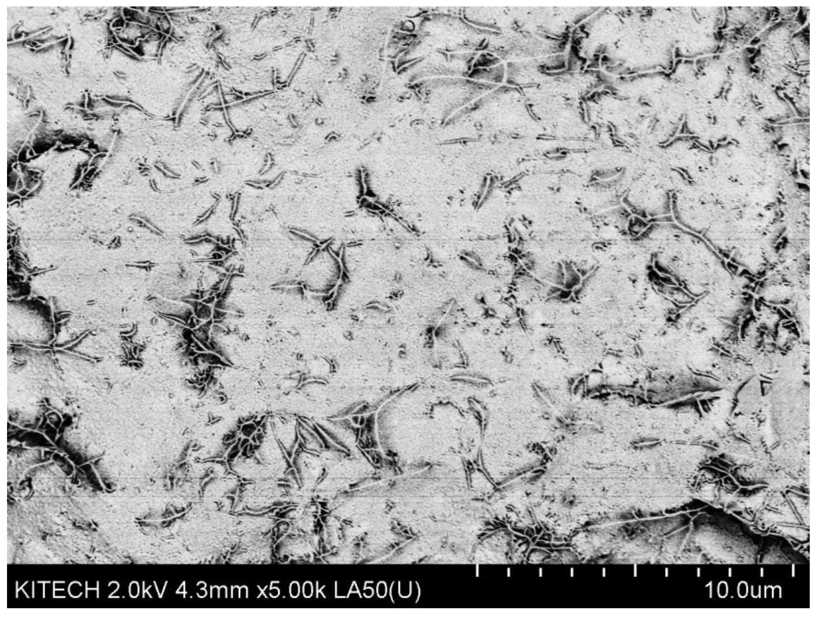 Processes 09 01395 g0a2