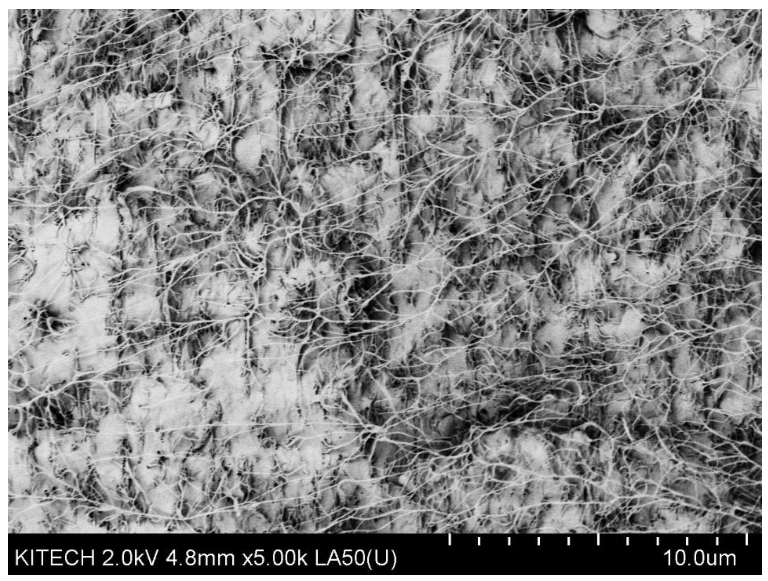 Processes 09 01395 g0a6