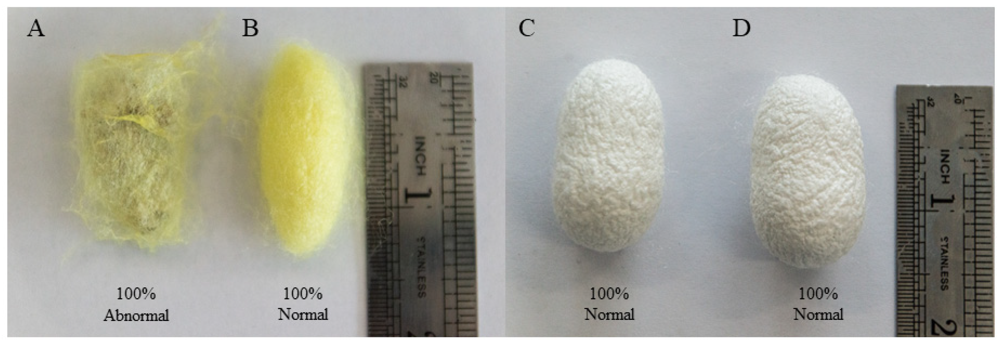Processes 09 01401 g001 Processes 09 01401 g001