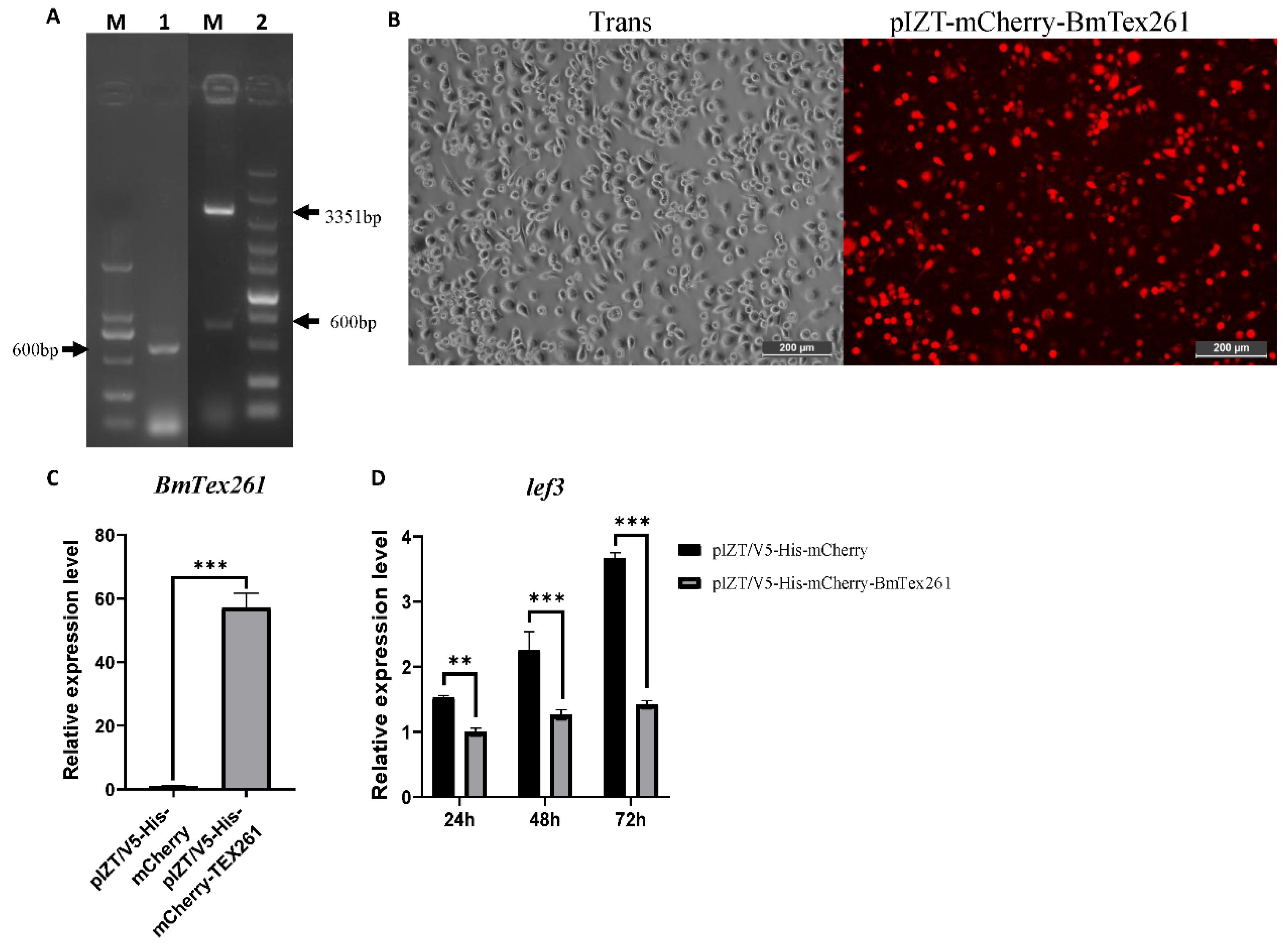 Processes 09 01401 g008 Processes 09 01401 g008