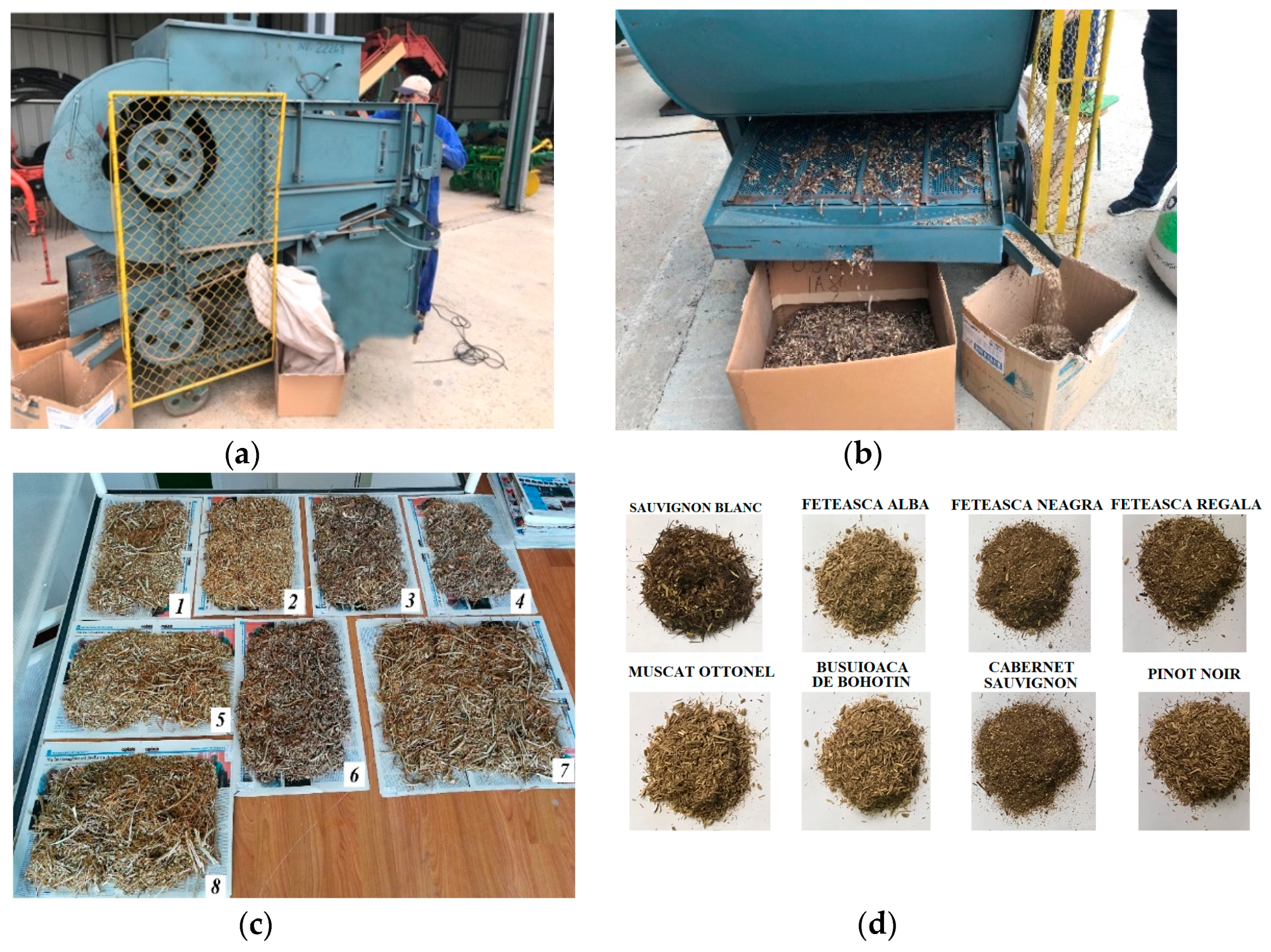 Processes 09 01409 g004