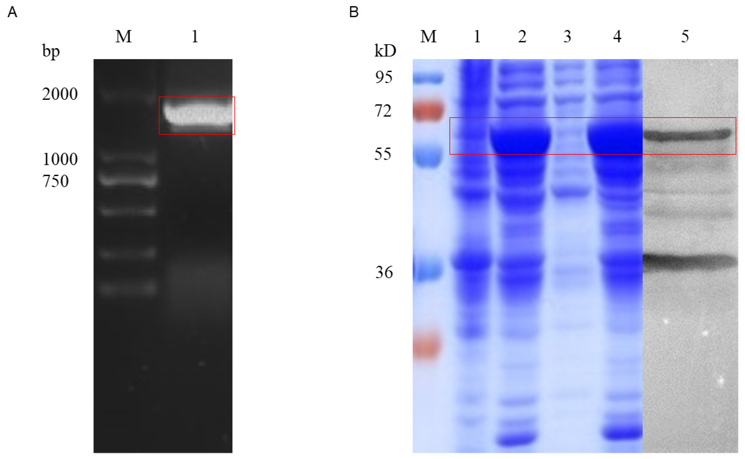 Processes 09 01473 g001
