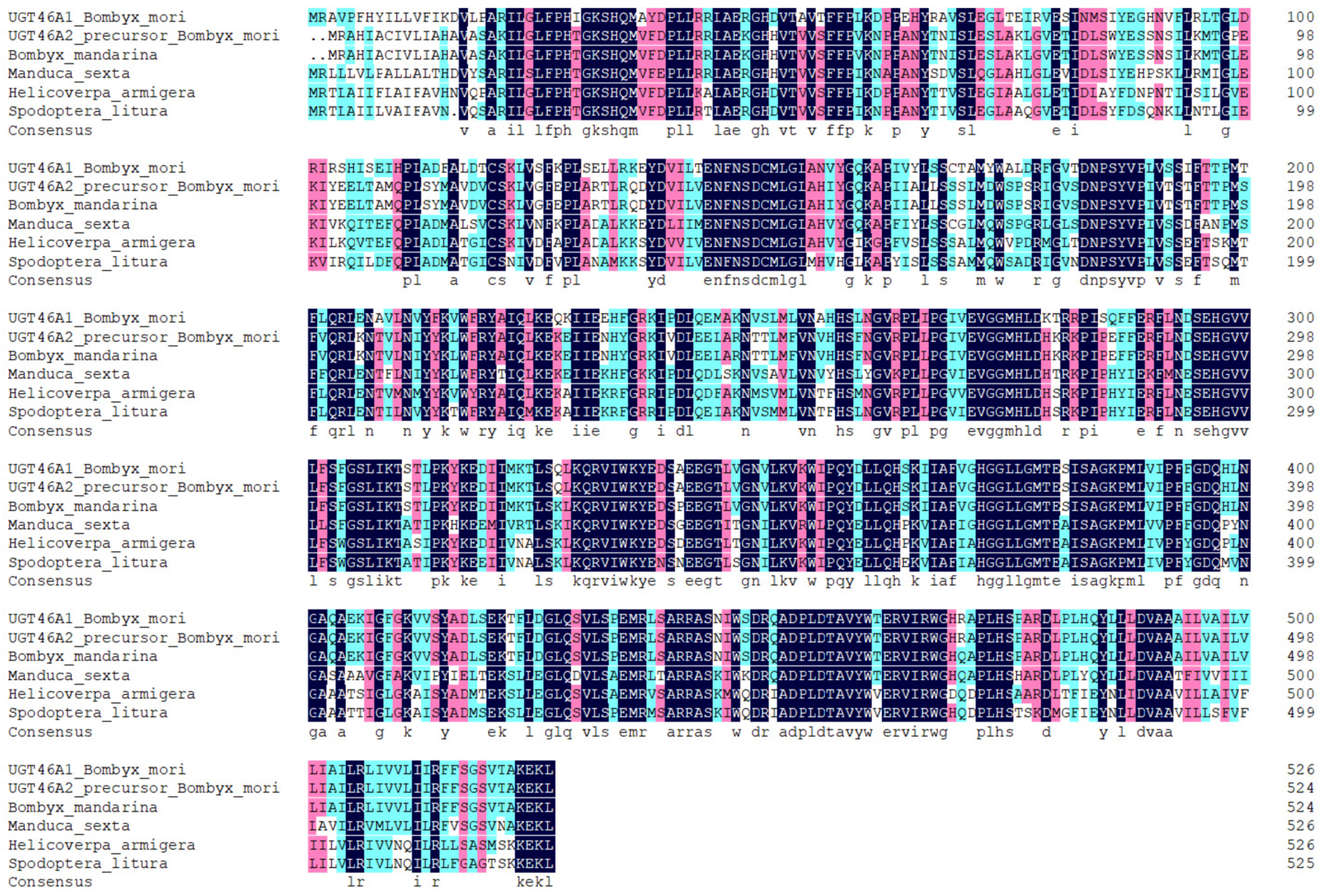 Processes 09 01473 g002
