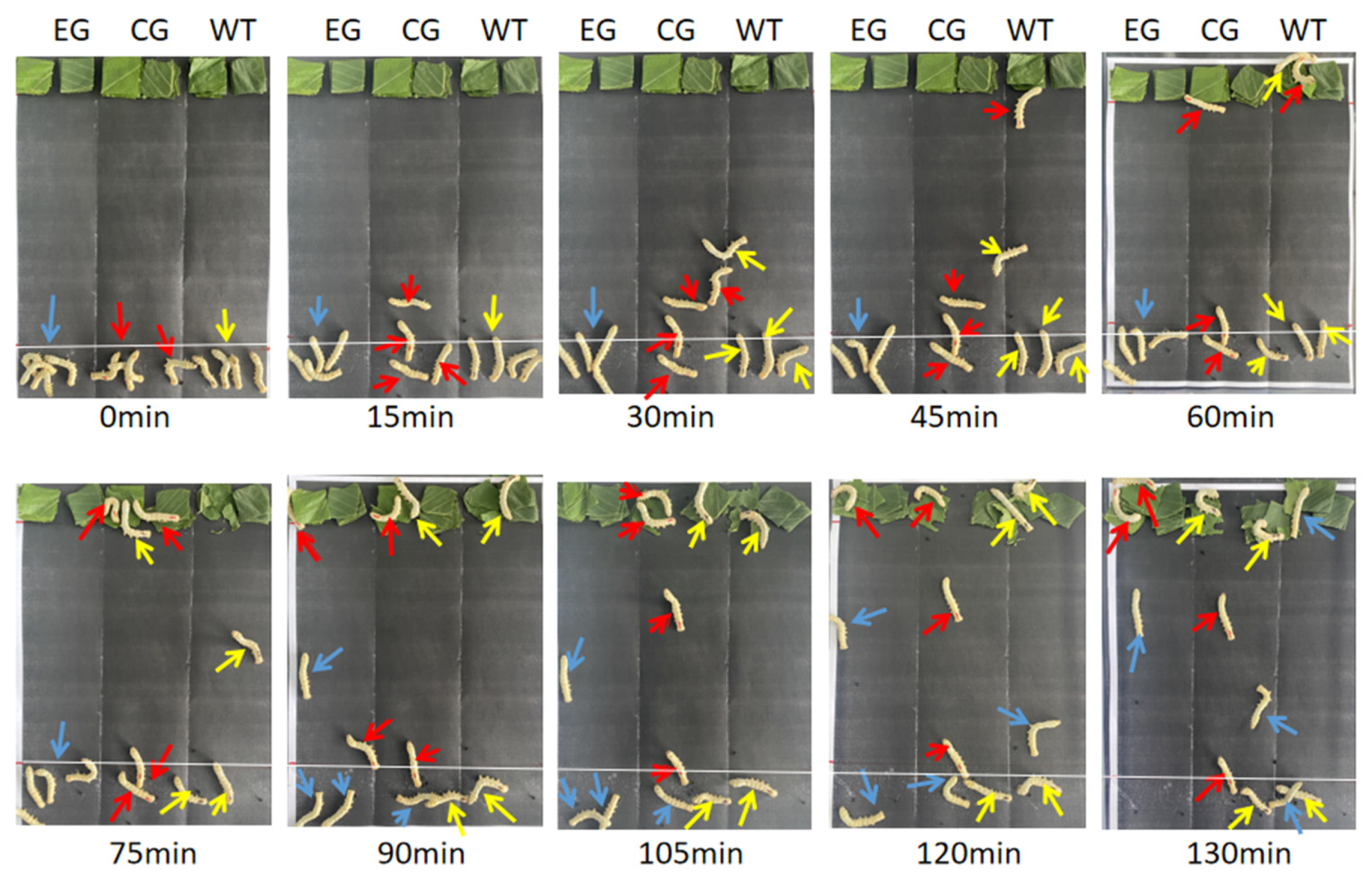 Processes 09 01473 g007