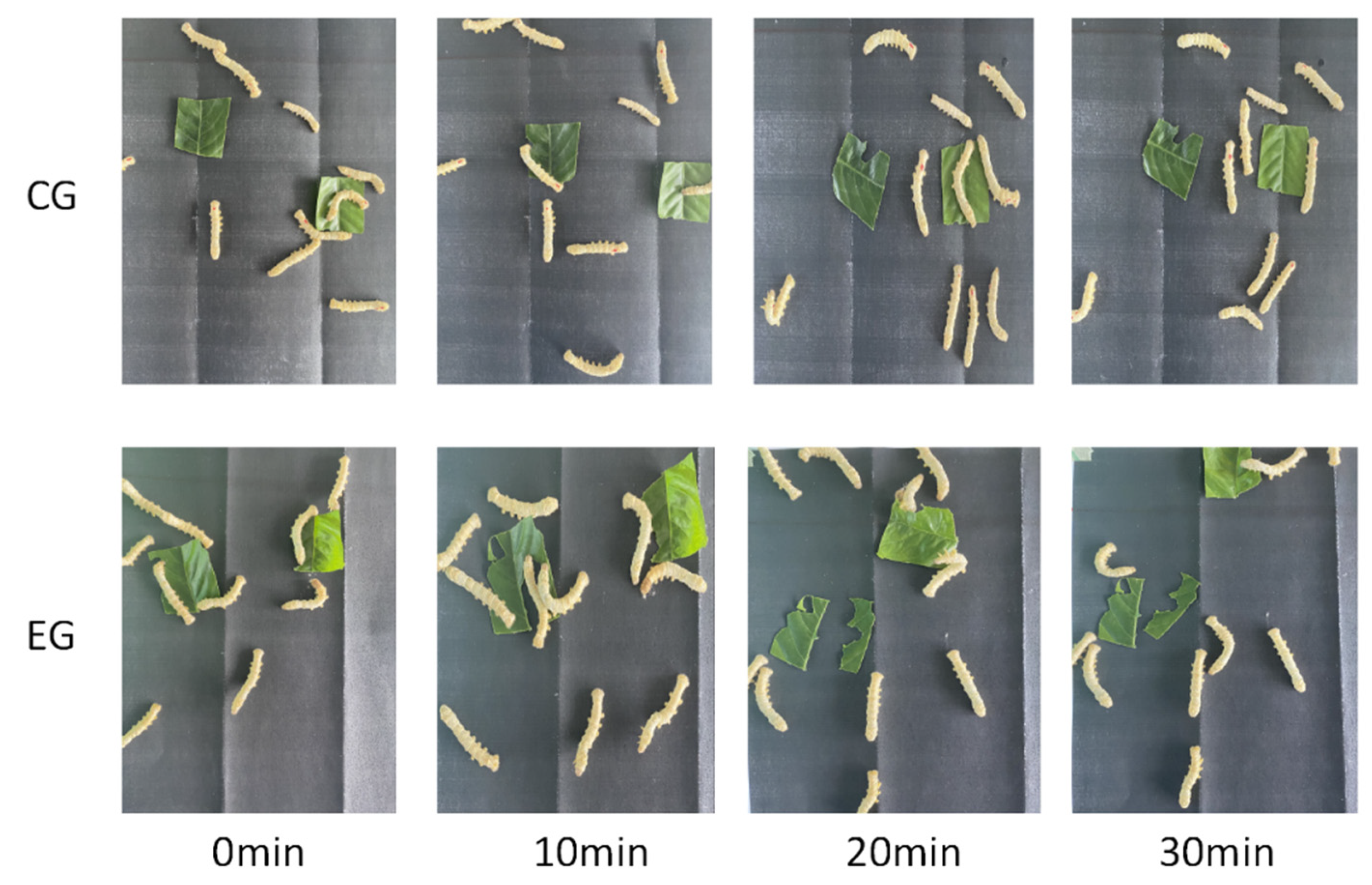 Processes 09 01473 g008