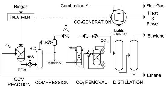 Processes Free Full Text Economic Potential of Bio Ethylene