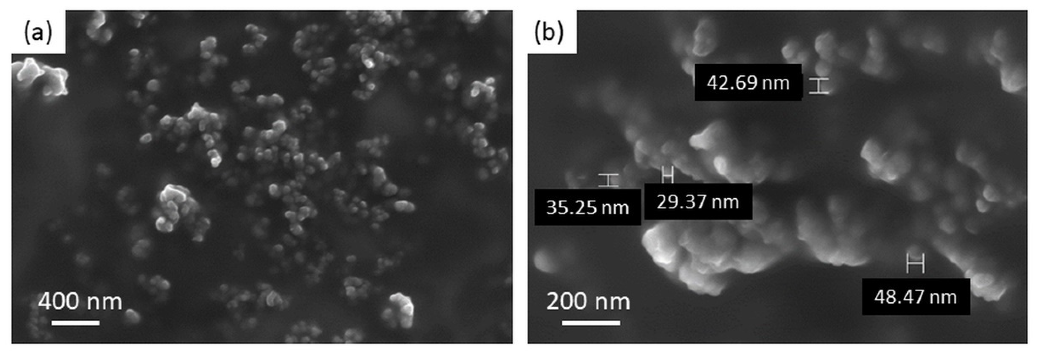 Processes 09 01641 g005