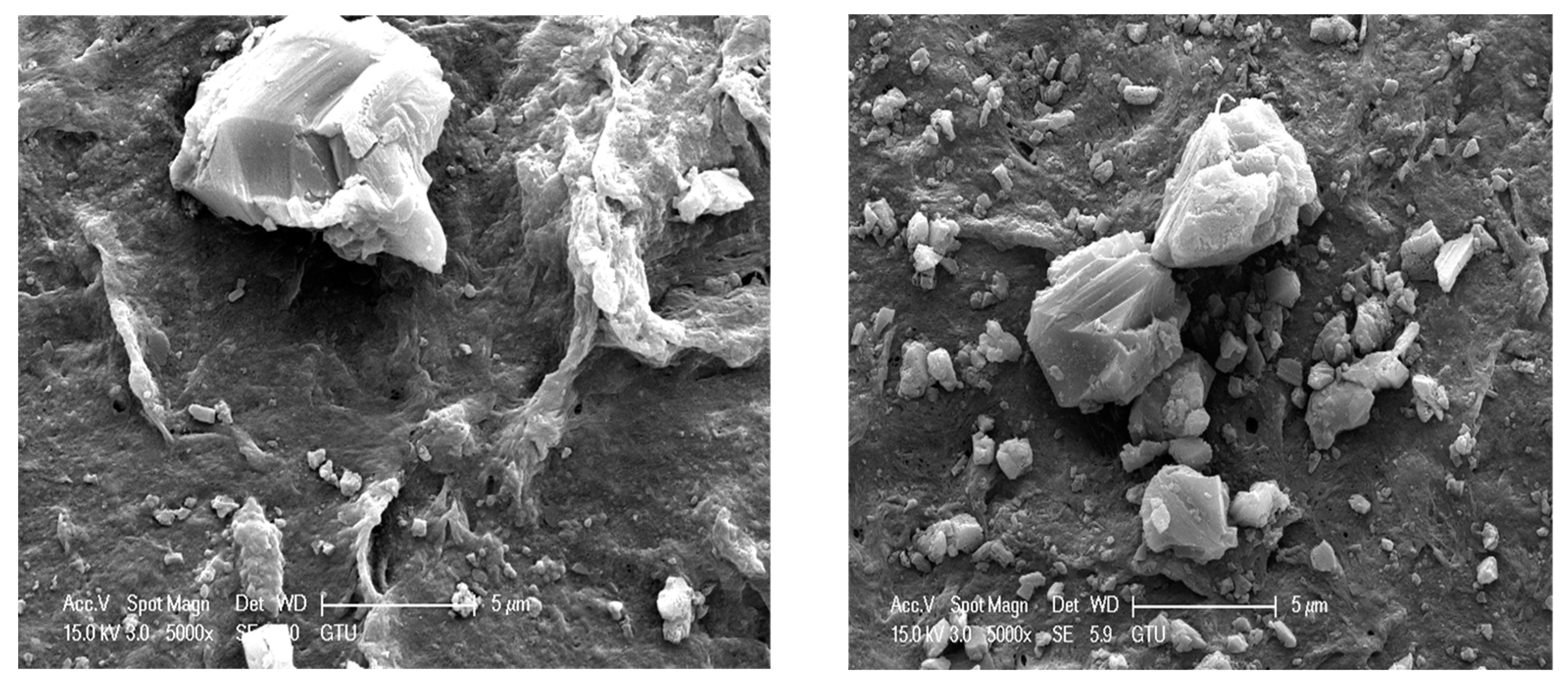 Processes 09 01703 g006
