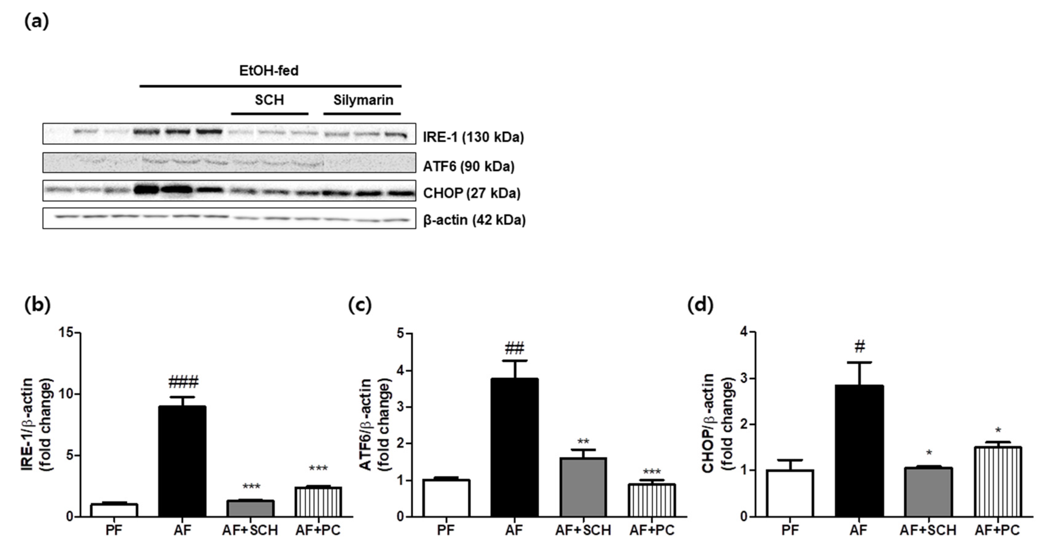 Processes 09 01760 g002