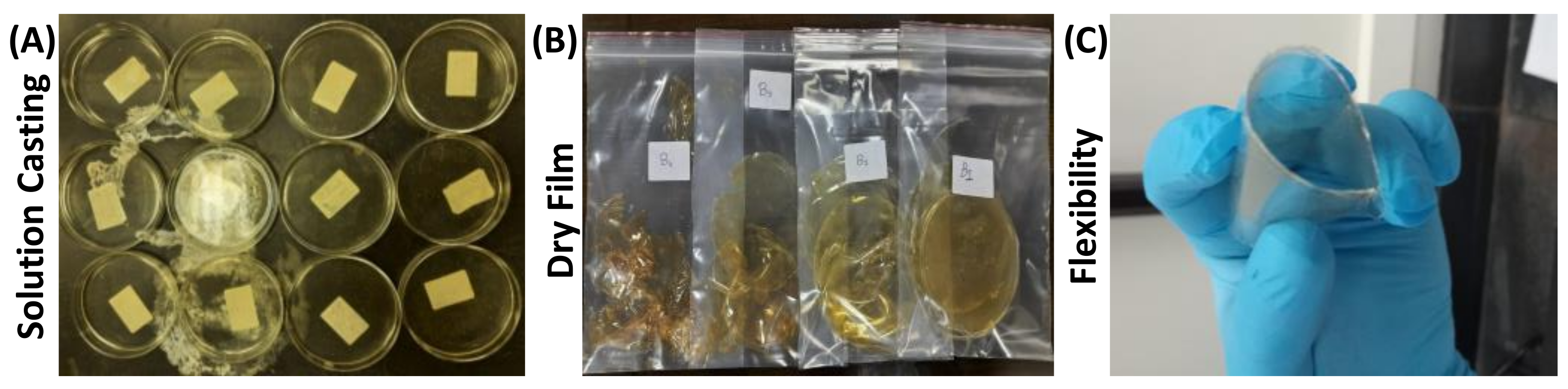 Processes 09 01783 g001