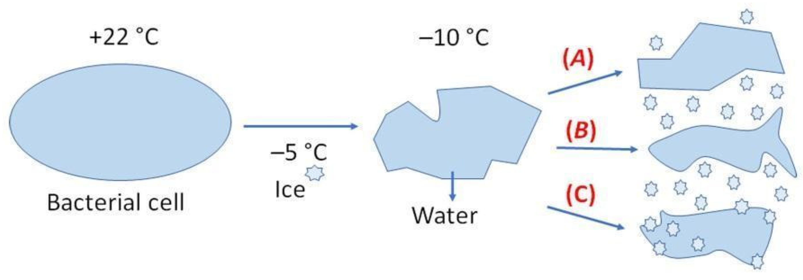 Processes 09 01843 g006