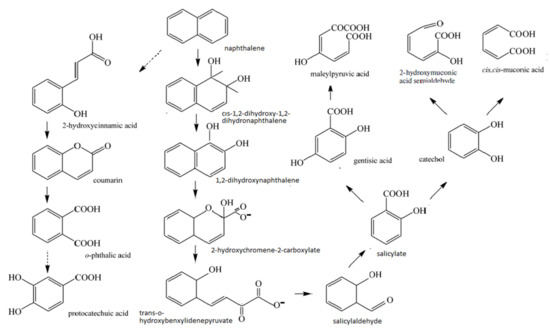 Naftaline, Serie 1988