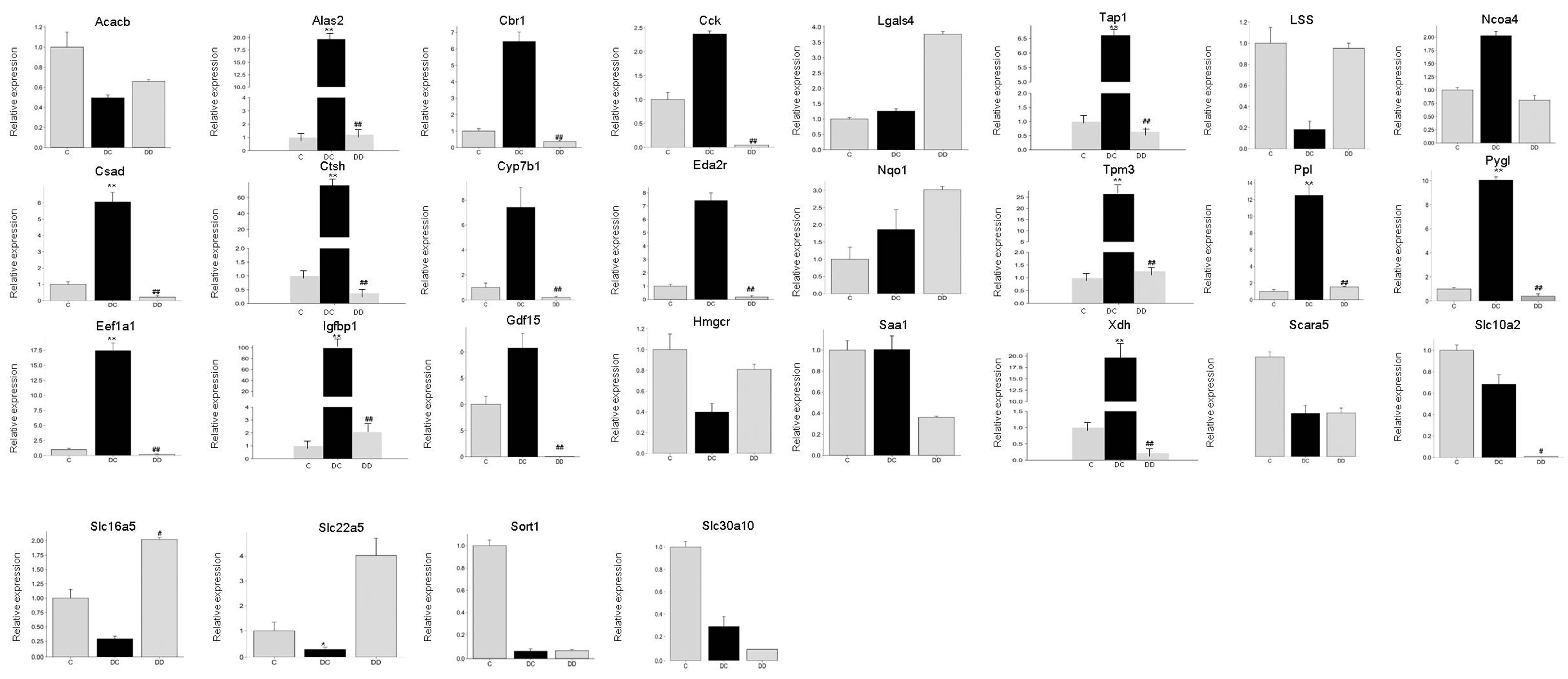 Processes 09 01898 g005