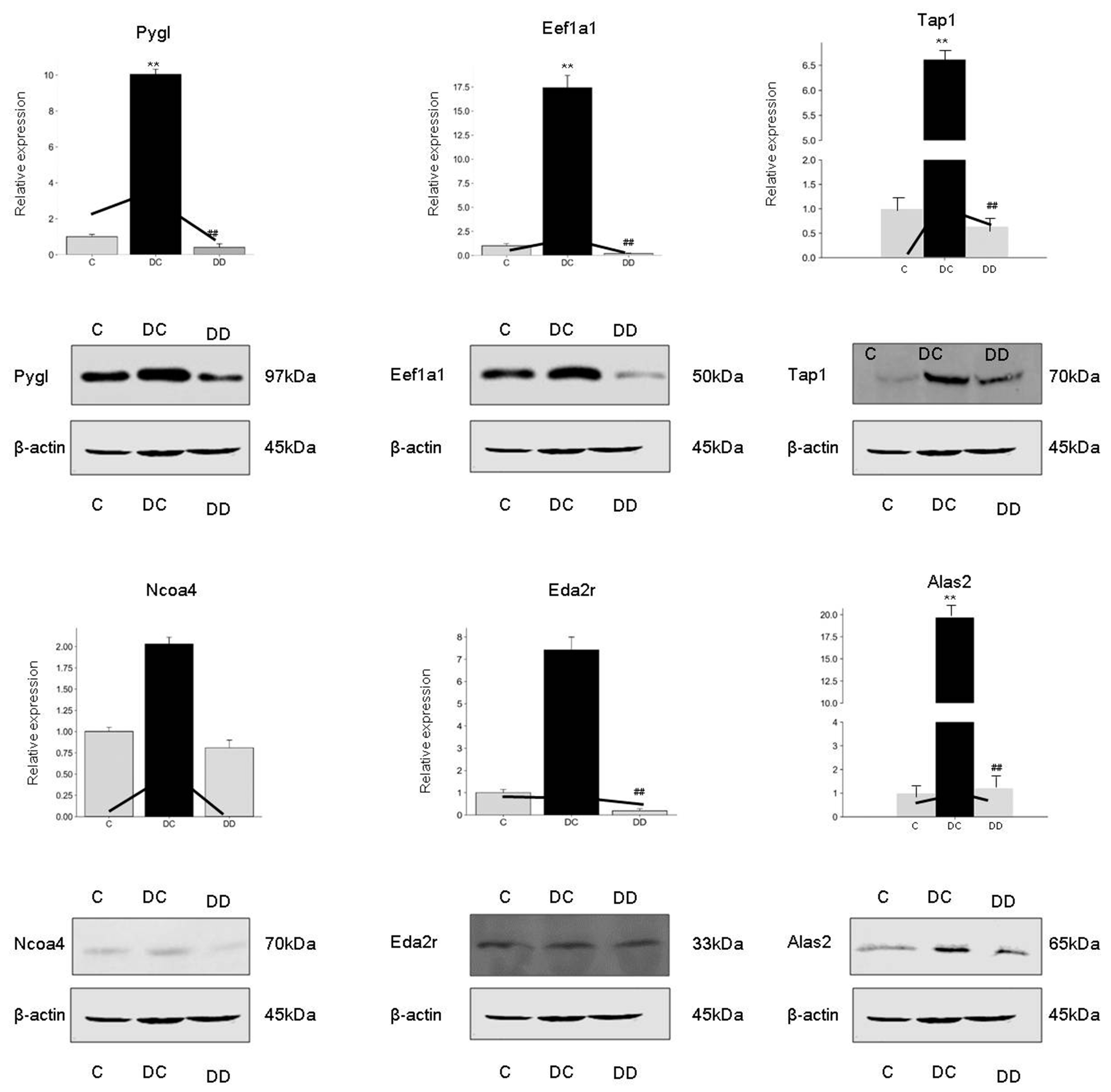 Processes 09 01898 g006