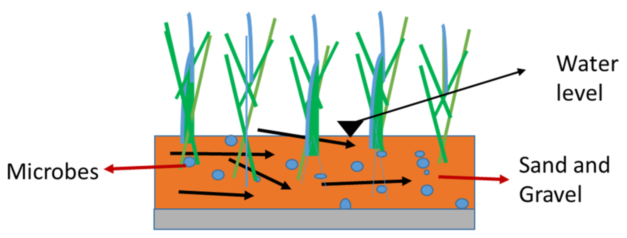 Processes 09 01917 g002