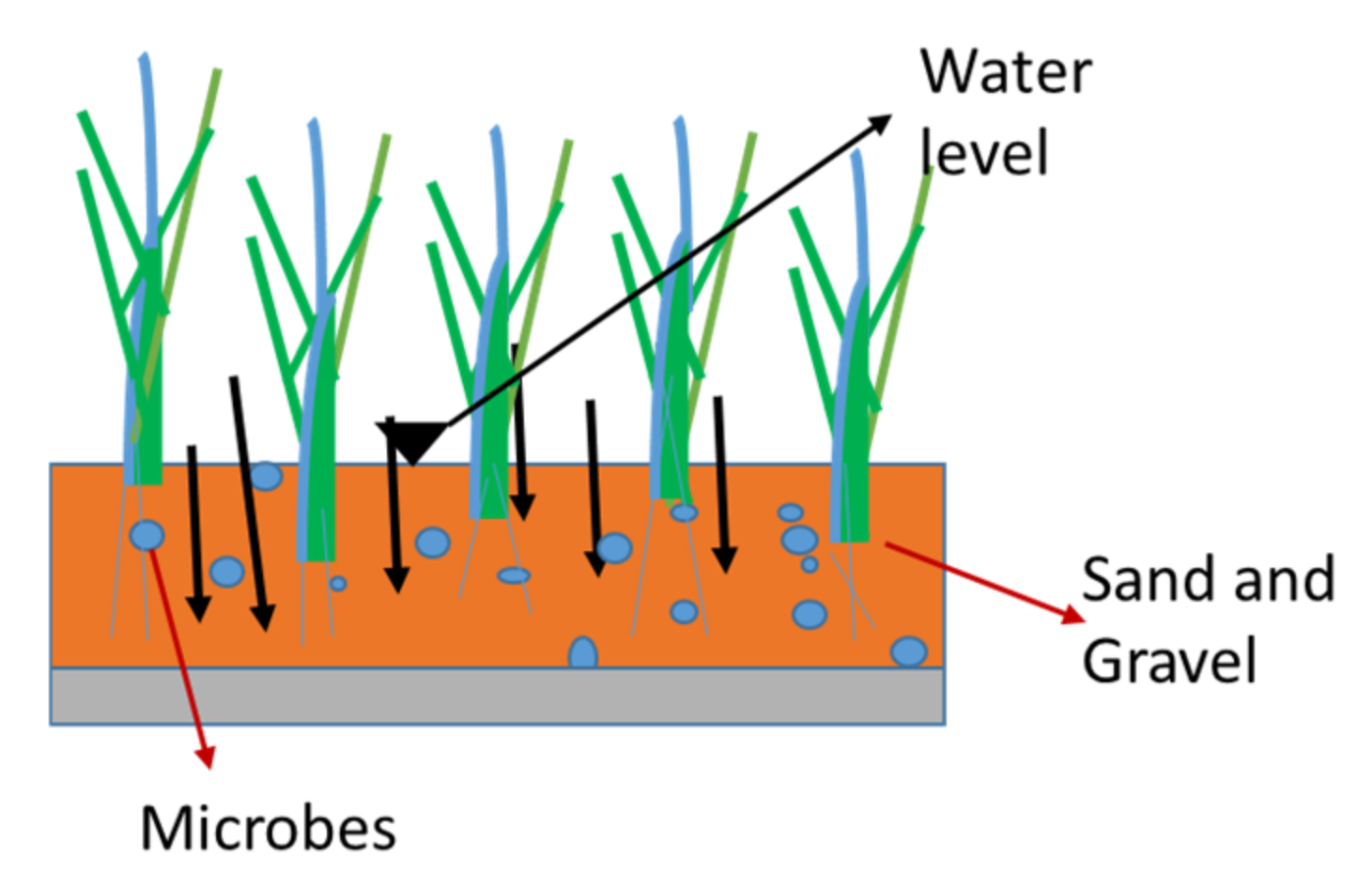 Processes 09 01917 g003