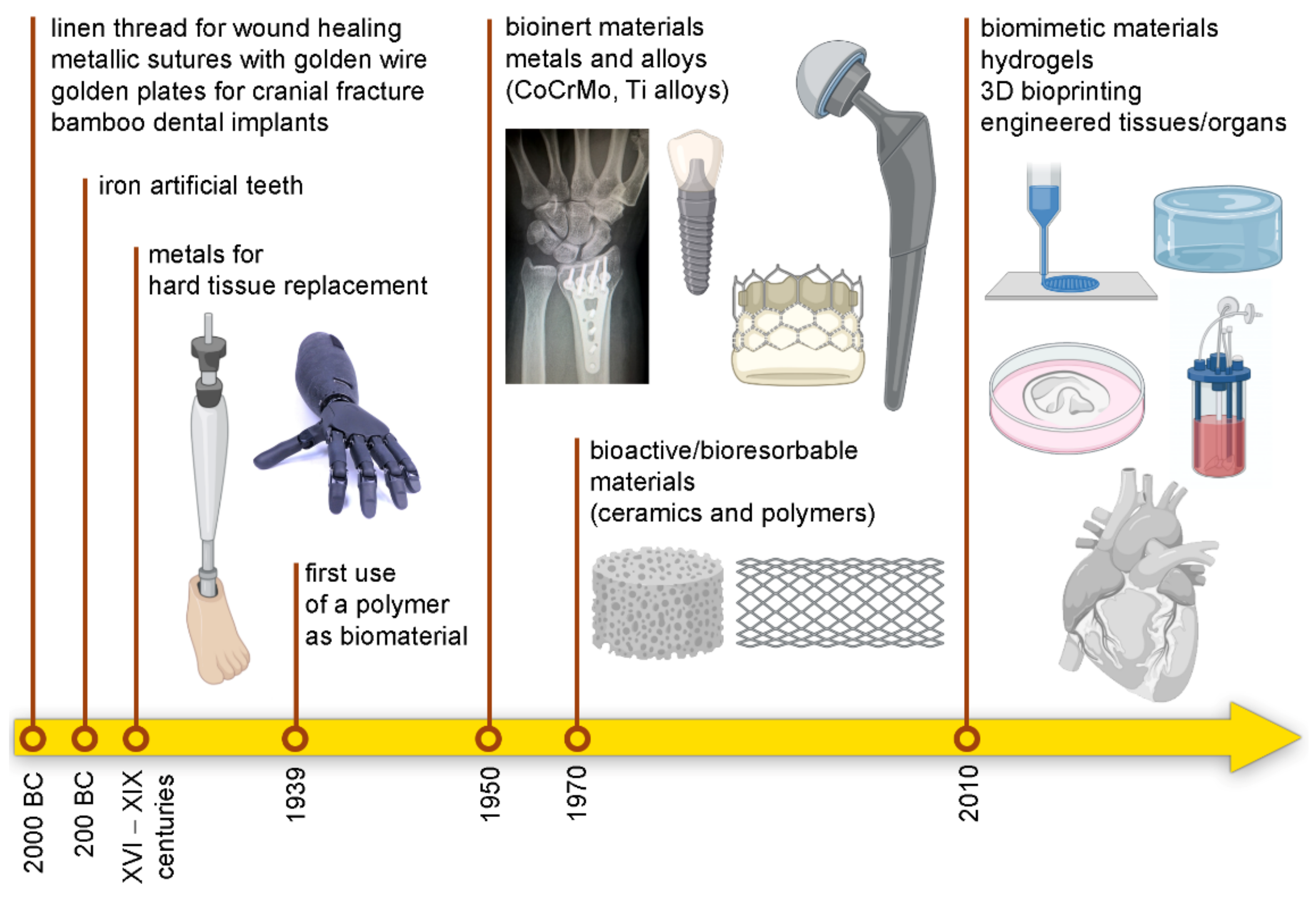 Processes | Free Full-Text | Biomaterials and Their Biomedical  Applications: From Replacement to Regeneration | HTML